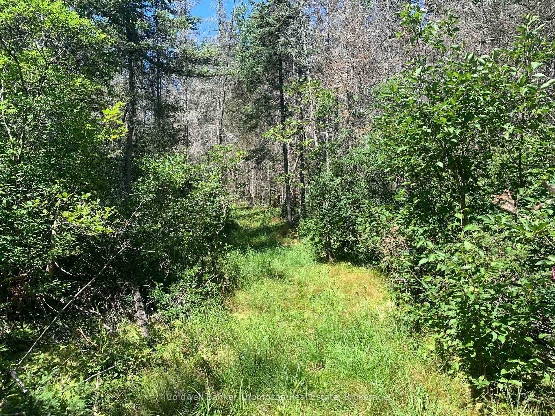 Photo 16 of Brennan's Road, Joly — HOMEH