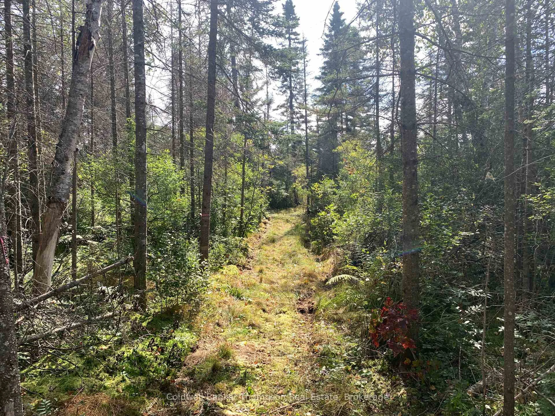 Photo 29 of Brennan's Road, Joly — HOMEH