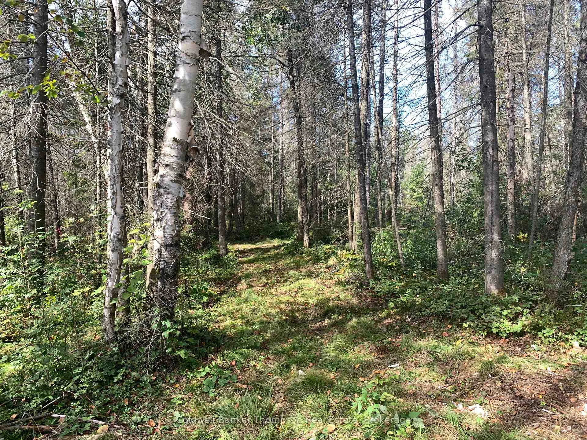 Photo 33 of Brennan's Road, Joly — HOMEH
