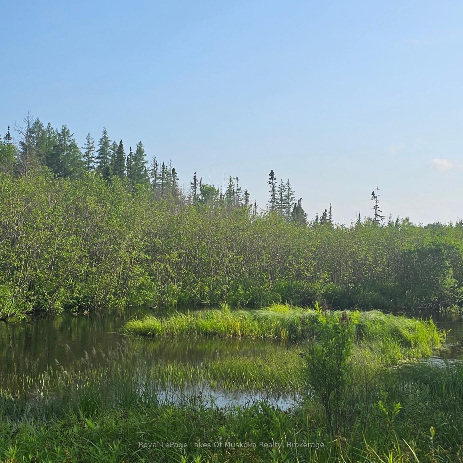 Photo 3 of 95 Fish Lake Road, Perry, Novar — HOMEH