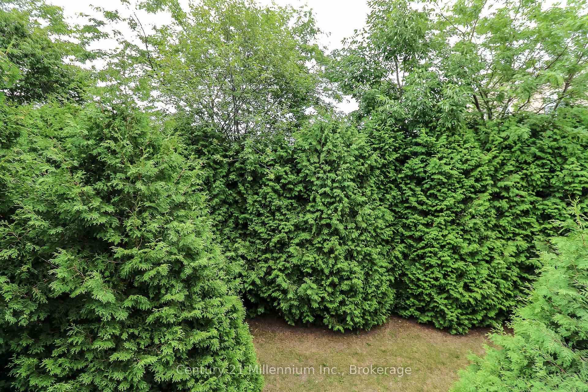 Photo 30 of Unit 124, 55 Trott Boulevard, Collingwood — HOMEH