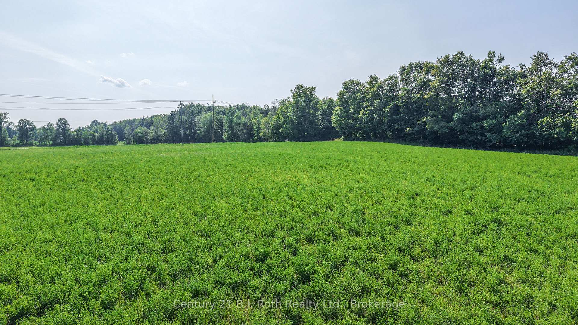 Photo 8 of 2403 Carlyon Line, Severn, Rural Severn — HOMEH