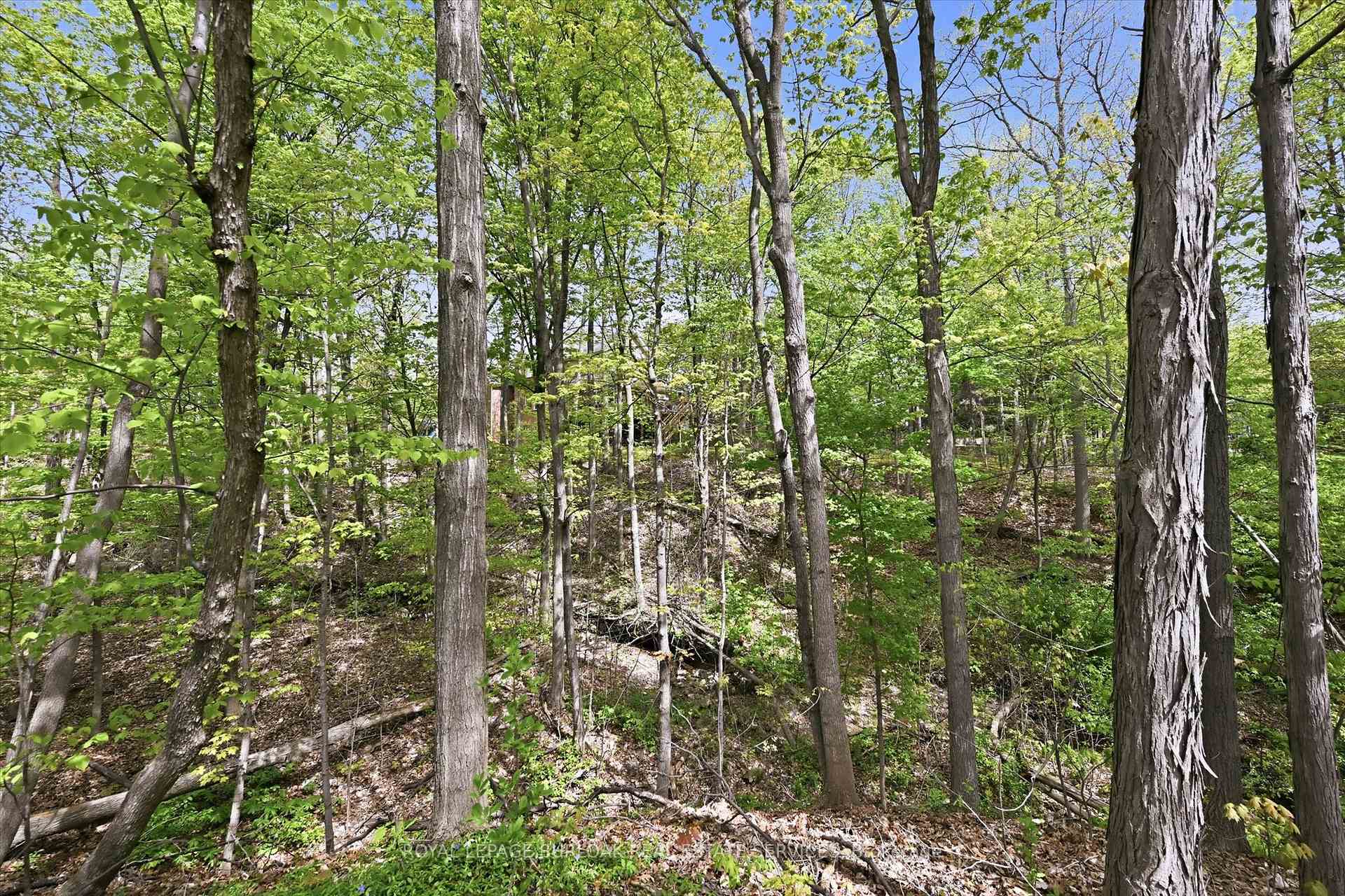 Photo 49 of Unit 4, 1095 Skyview Drive, Burlington, Tyandaga — HOMEH