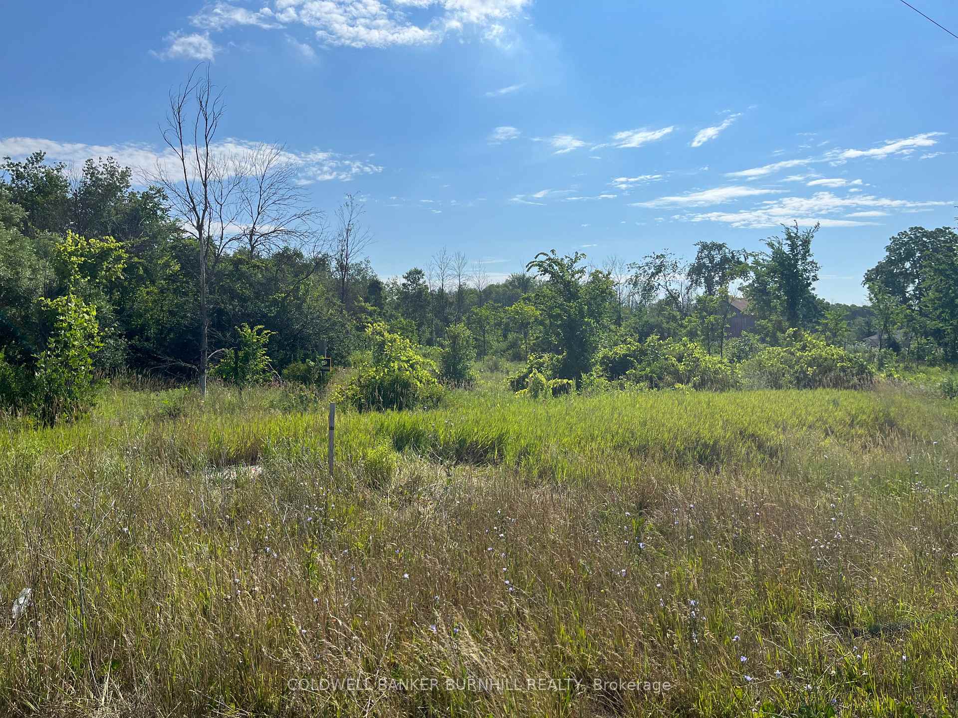 Photo 3 of 1276 Hwy 6, Hamilton, Rural Flamborough — HOMEH