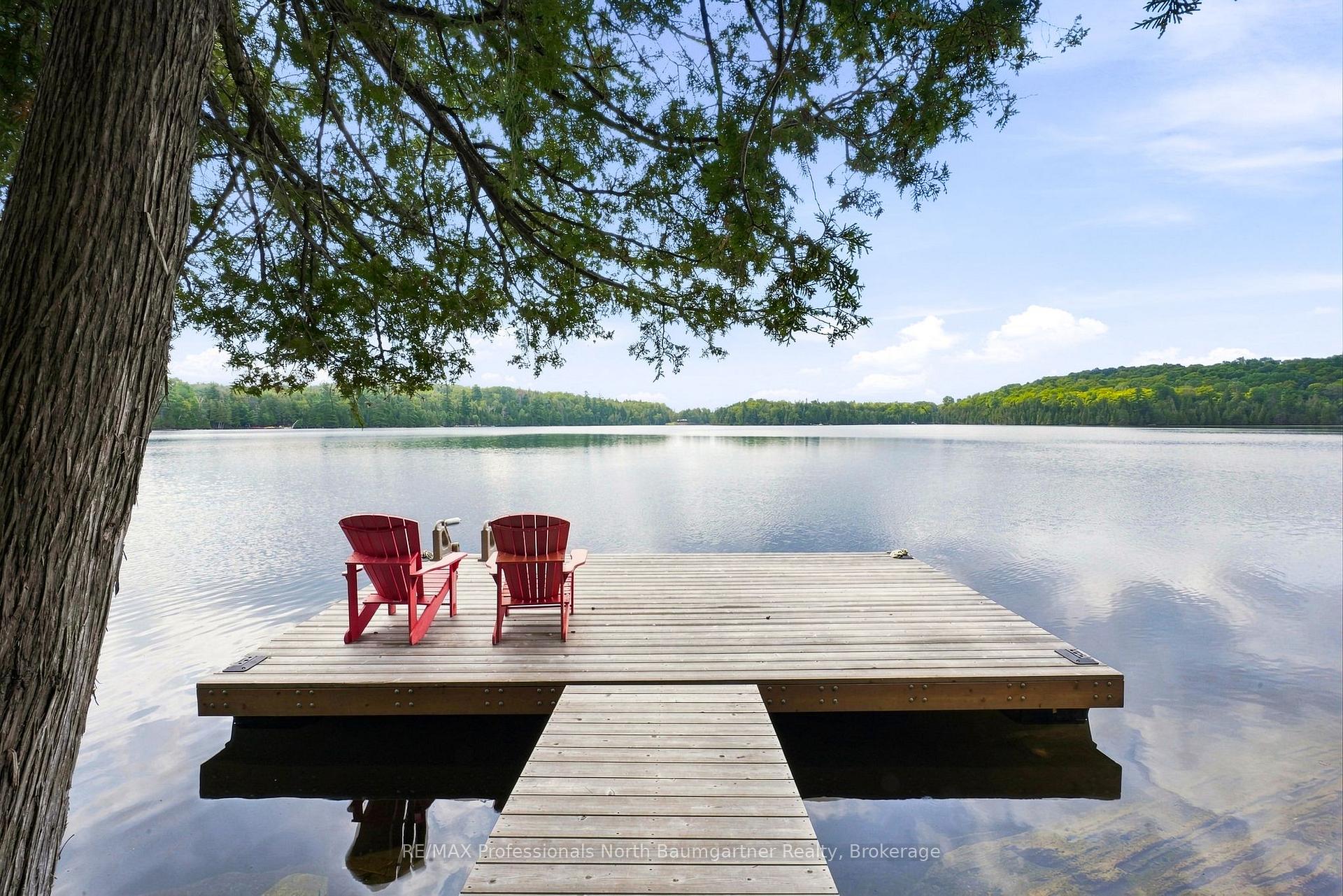 Photo 5 of 45 Scott Settlement Road, North Kawartha — HOMEH