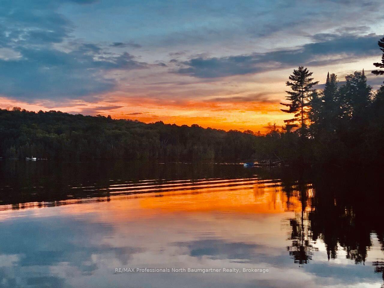 Photo 48 of 45 Scott Settlement Road, North Kawartha — HOMEH