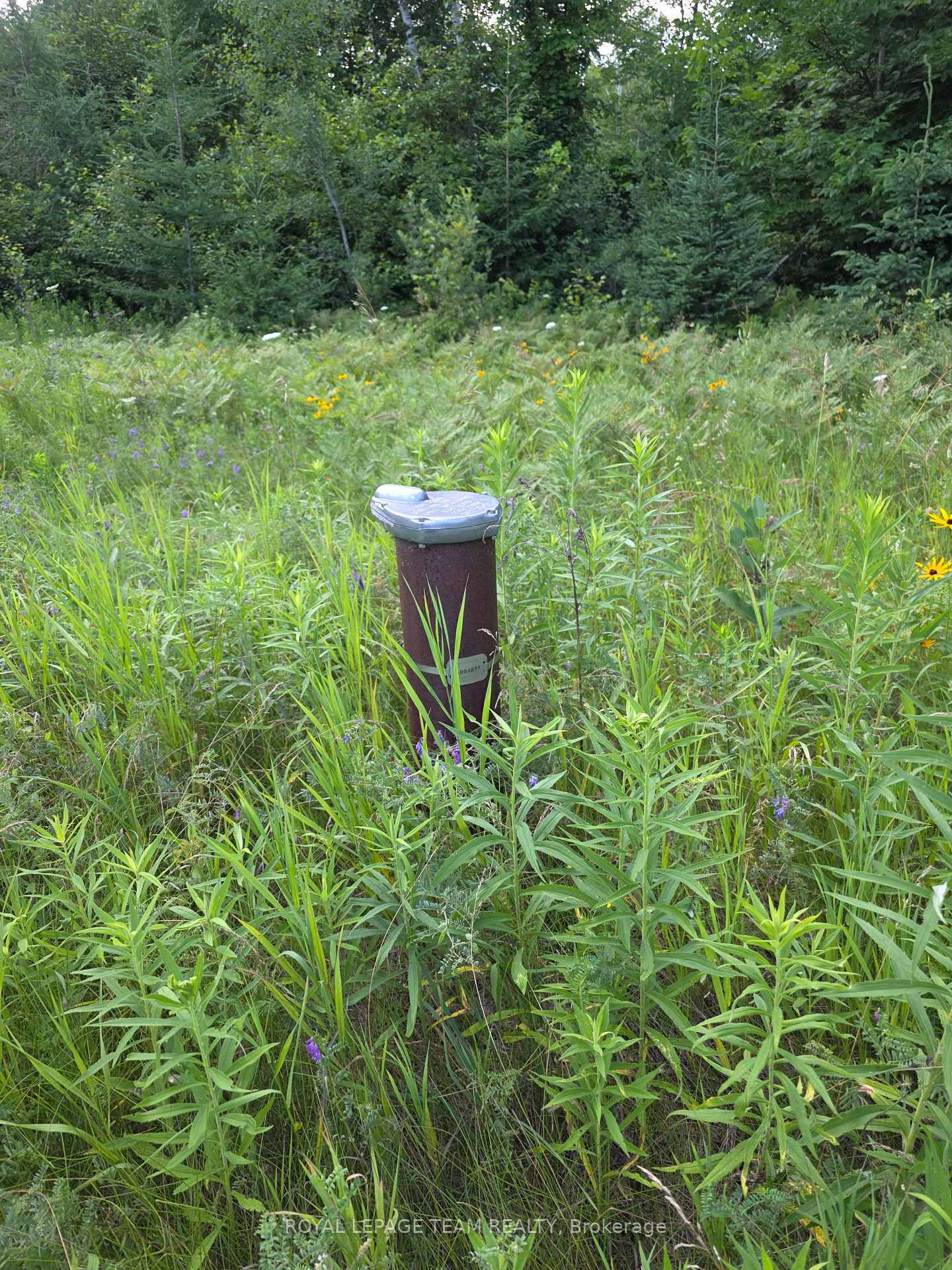 Photo 8 of 2630 McMullen Road, Ottawa, Rideau Twp S of Reg Rd 6 W of Mccordick Rd. — HOMEH