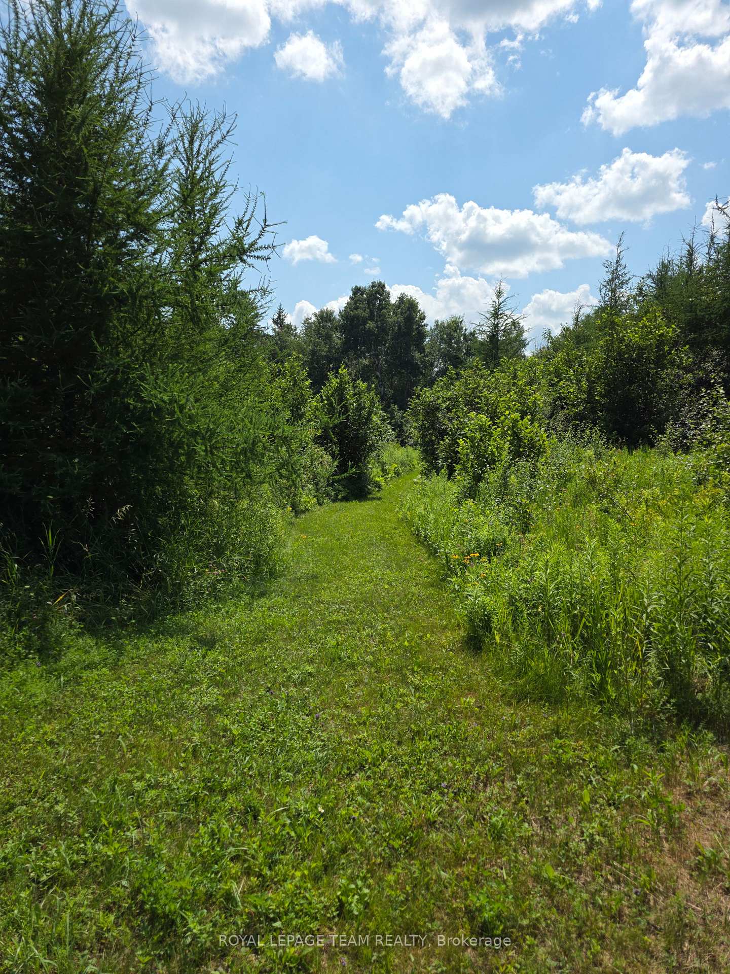 Photo 10 of 2630 McMullen Road, Ottawa, Rideau Twp S of Reg Rd 6 W of Mccordick Rd. — HOMEH