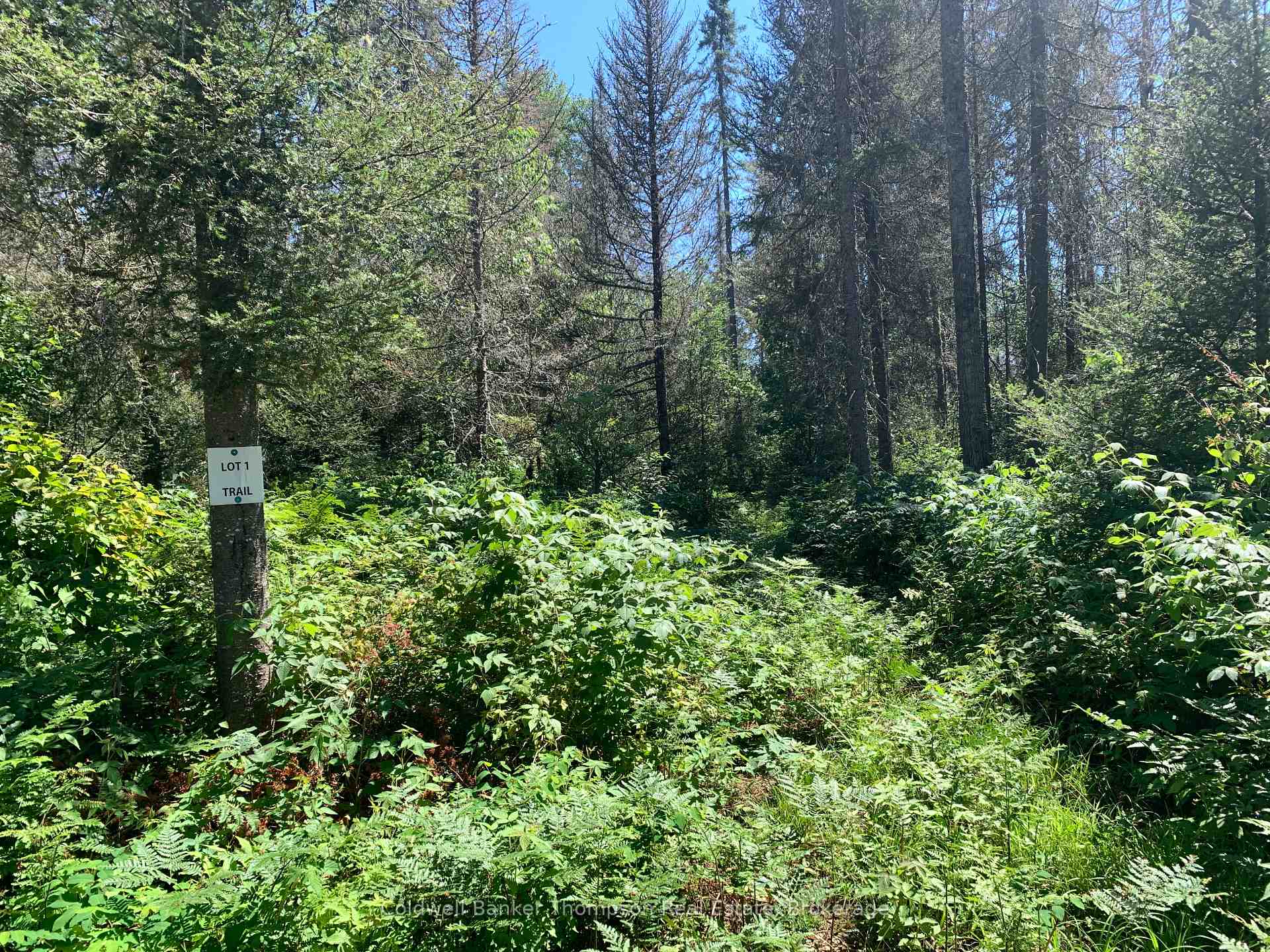 Photo 4 of Lot 1 Brennan's Road, Joly — HOMEH