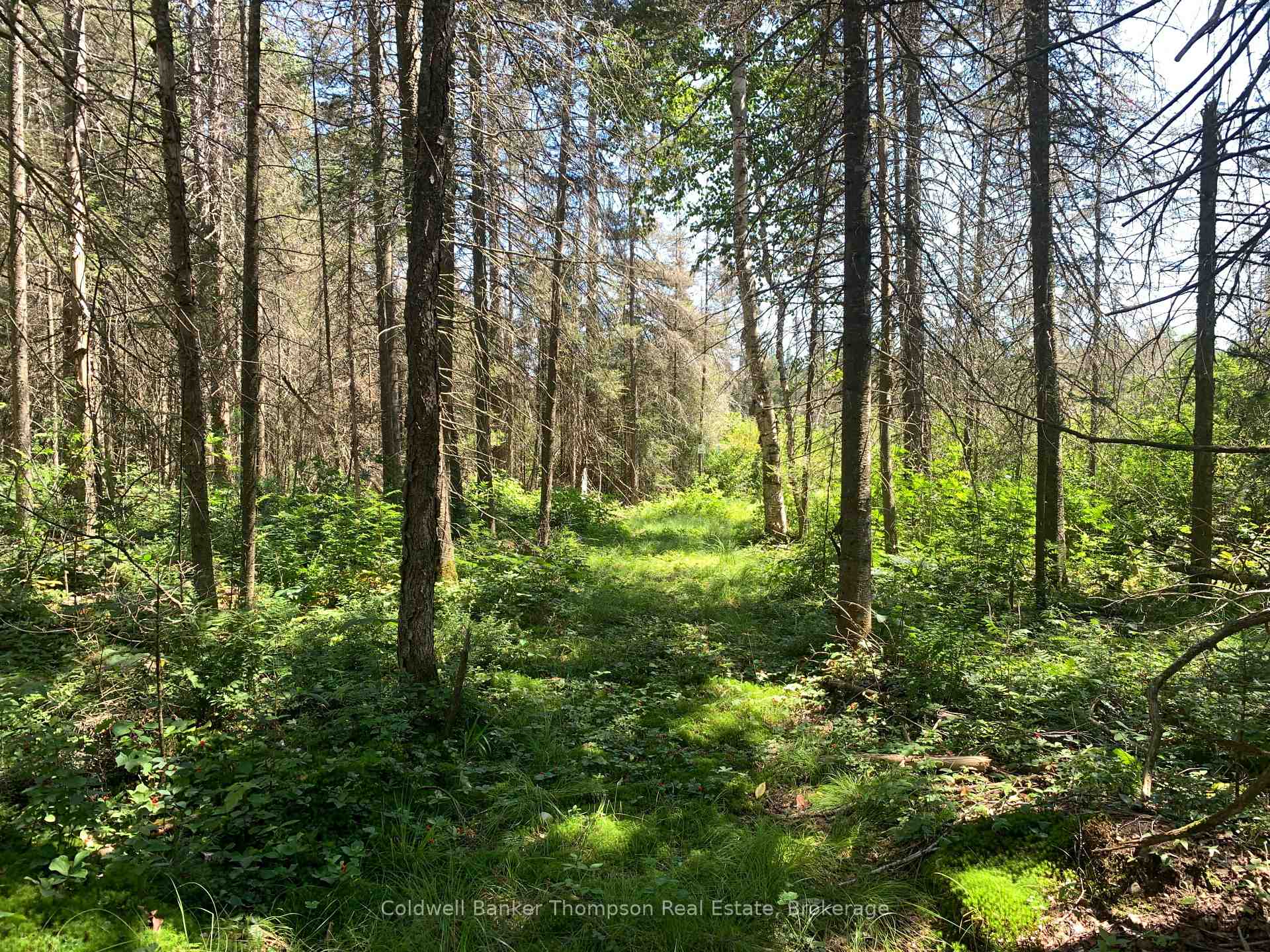 Photo 5 of Lot 1 Brennan's Road, Joly — HOMEH