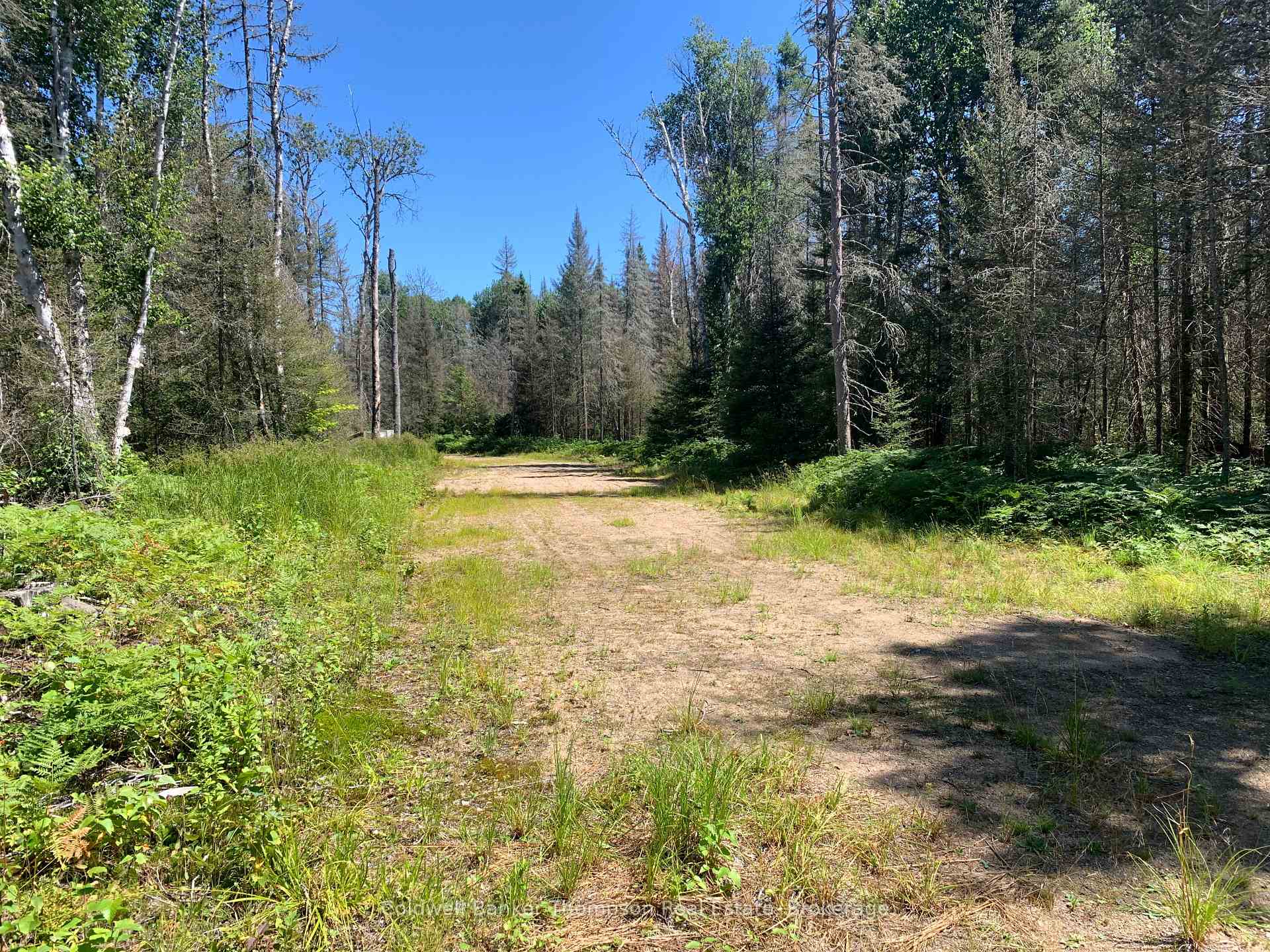 Photo 12 of Lot 1 Brennan's Road, Joly — HOMEH