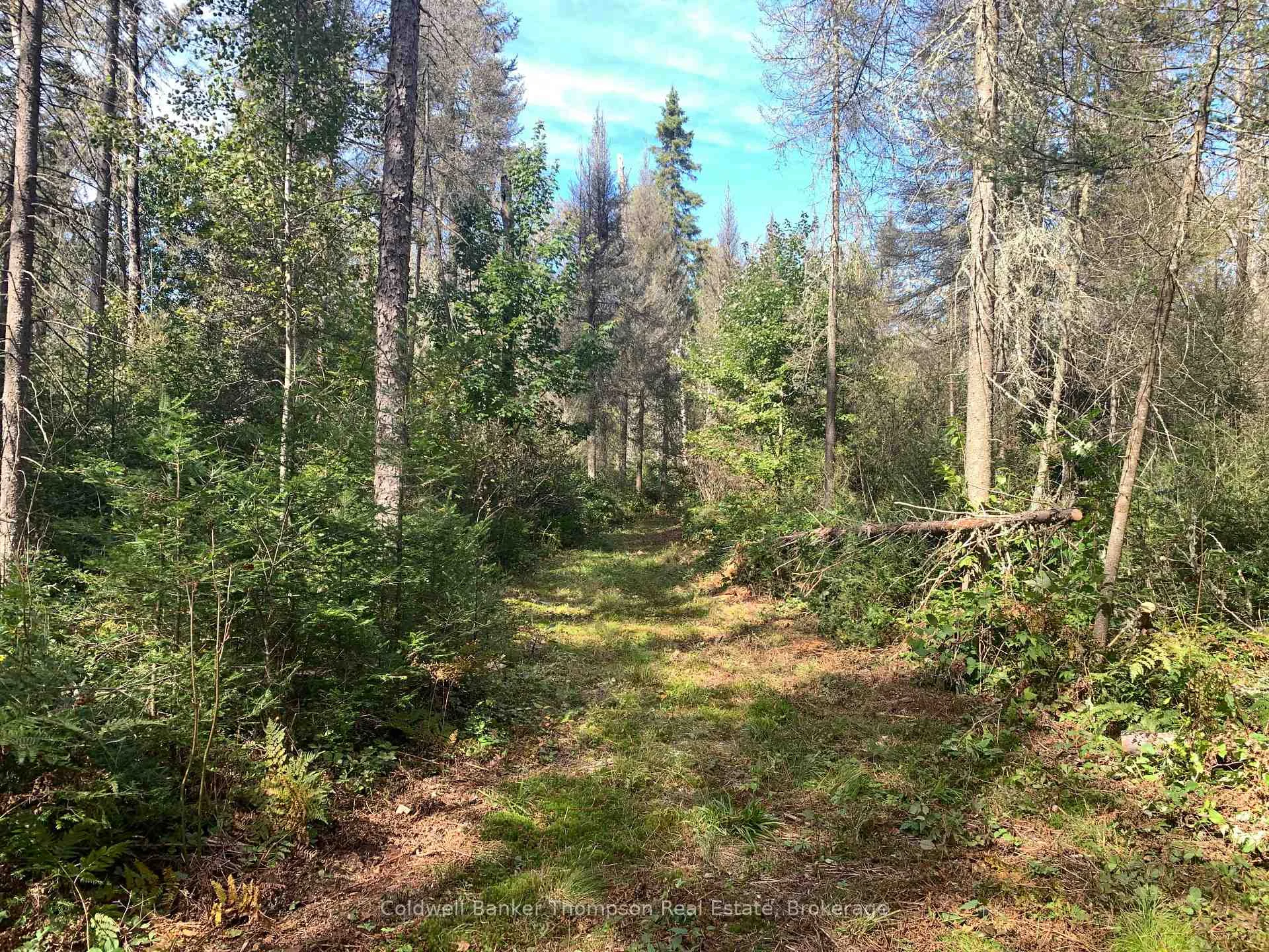 Photo 23 of Lot 1 Brennan's Road, Joly — HOMEH