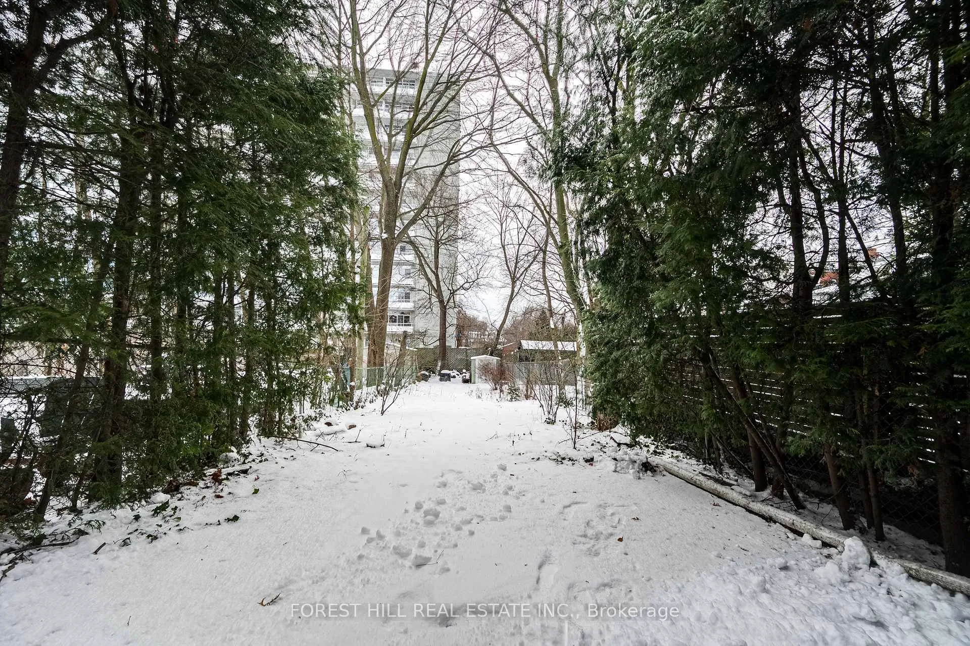Photo 29 of 81 Benson Avenue, Toronto, Wychwood — HOMEH
