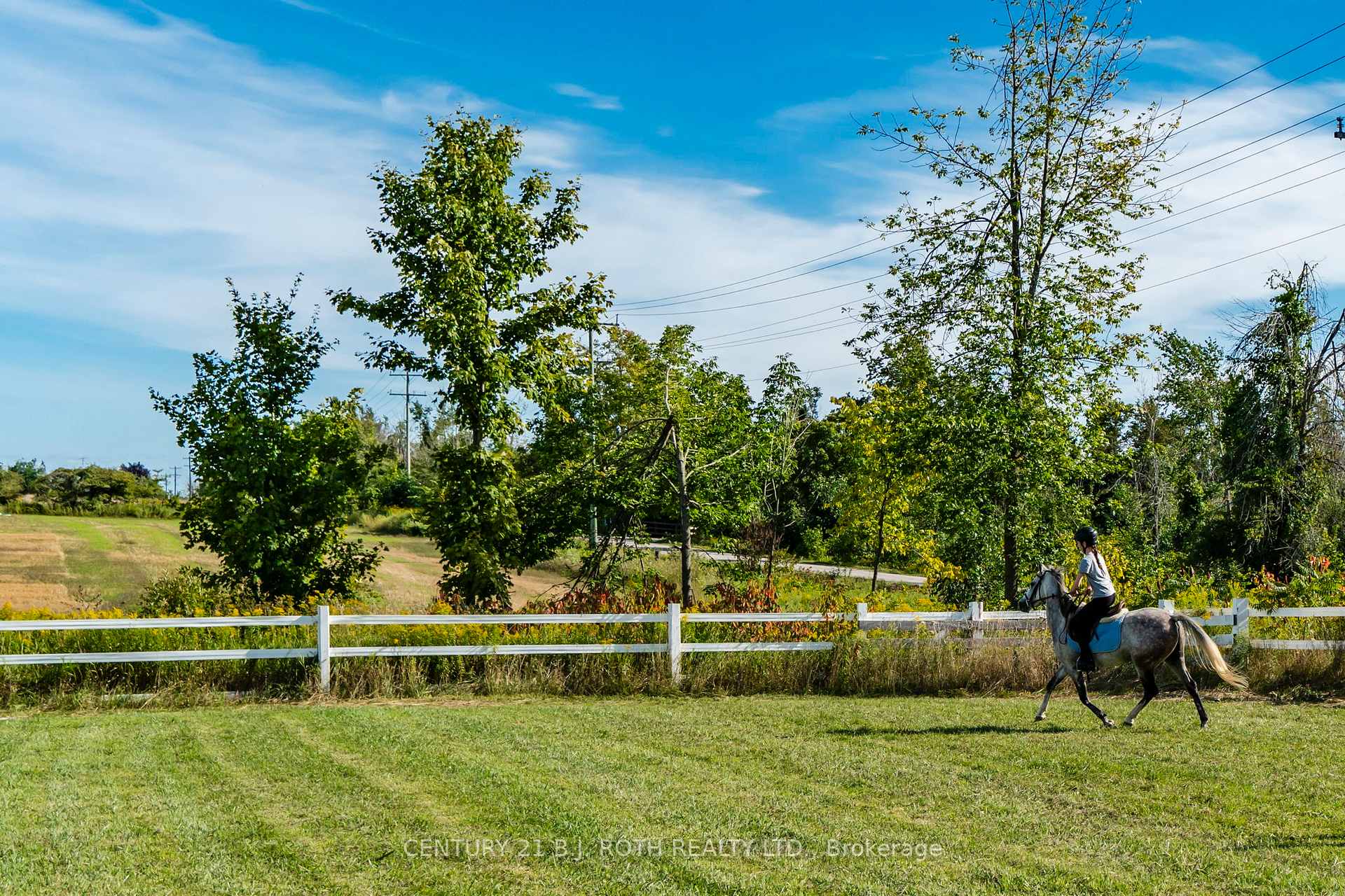 Photo 28 of 363 12 Line N, Oro-Medonte, Rural Oro-Medonte — HOMEH
