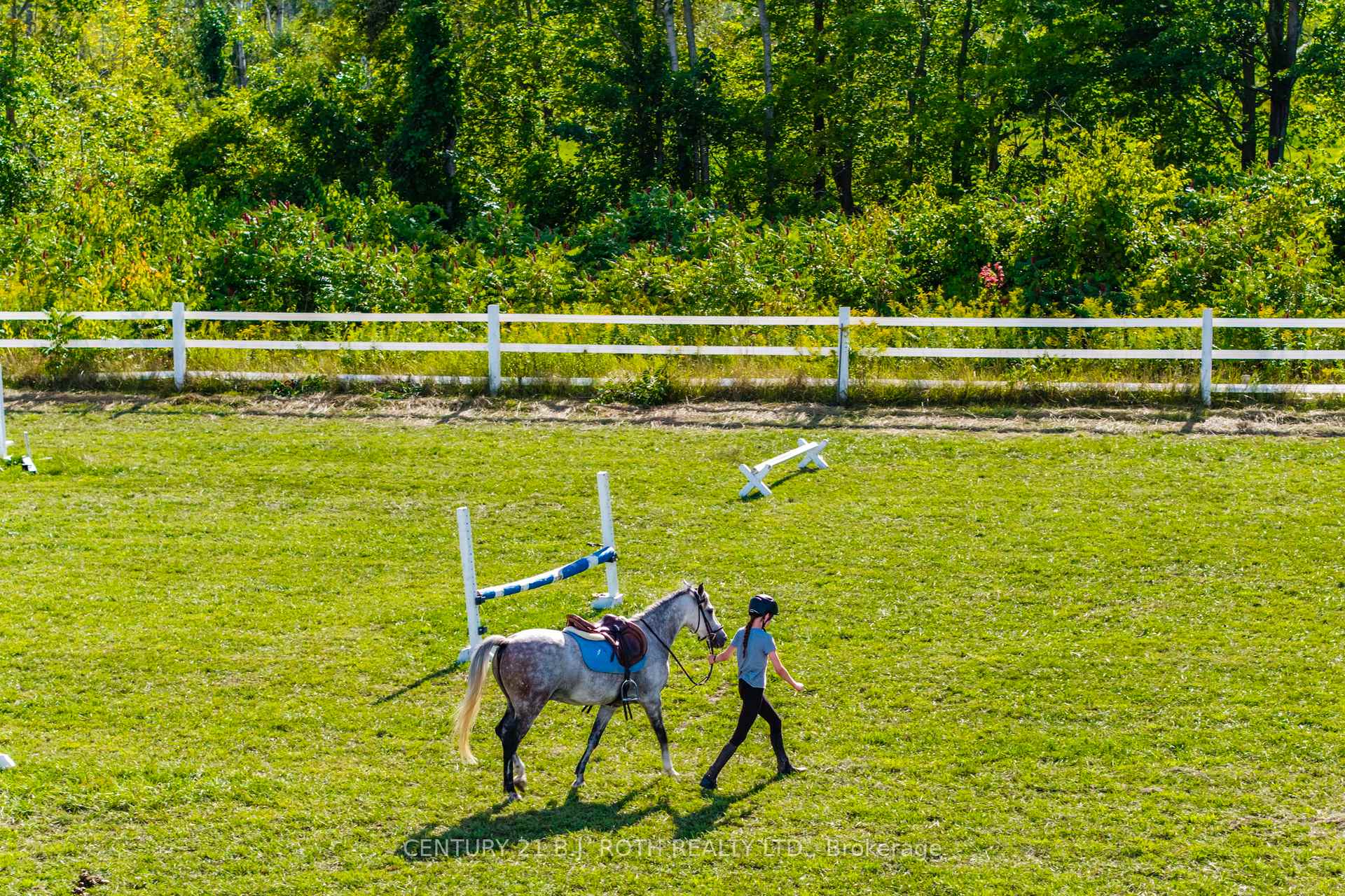 Photo 45 of 363 12 Line N, Oro-Medonte, Rural Oro-Medonte — HOMEH
