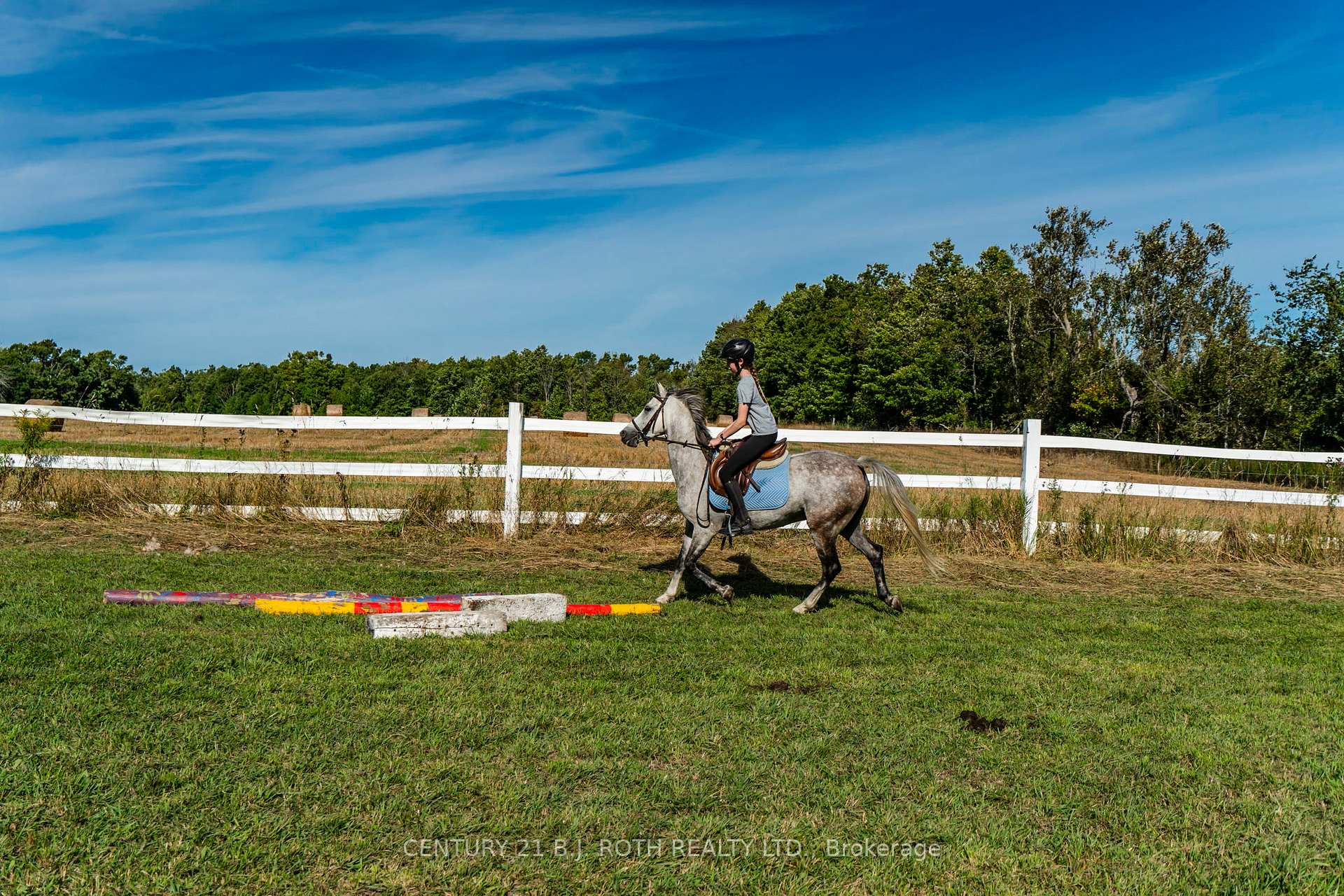 Photo 46 of 363 12 Line N, Oro-Medonte, Rural Oro-Medonte — HOMEH