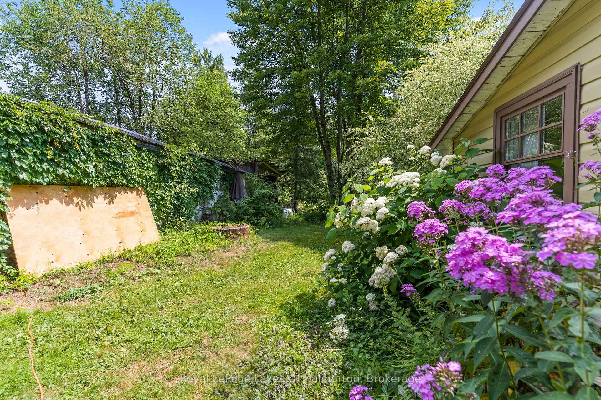 Photo 50 of 4982 Gelert Road, Minden Hills, Snowdon — HOMEH