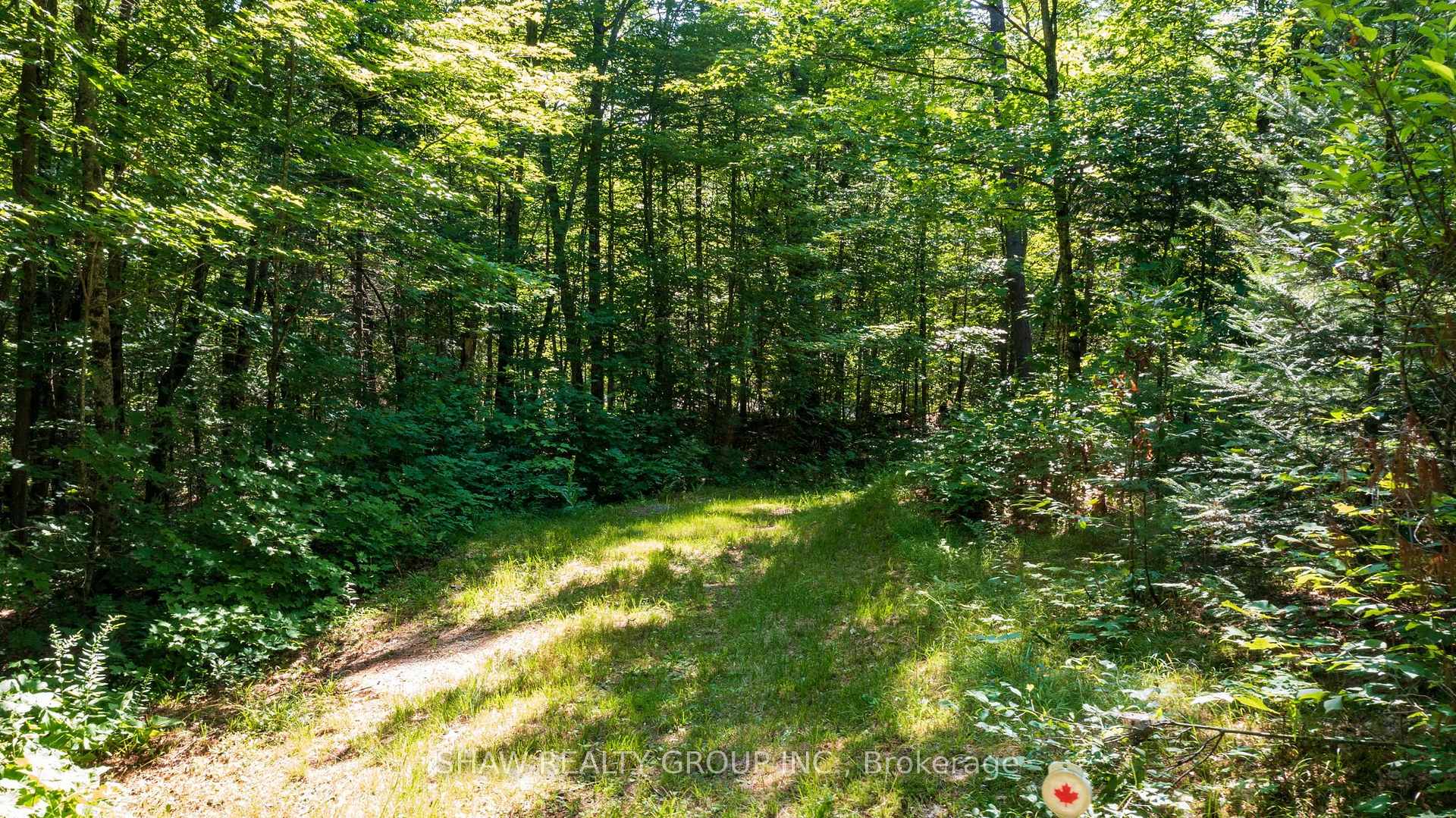Photo 42 of 3726 Nipissing Road, Magnetawan — HOMEH