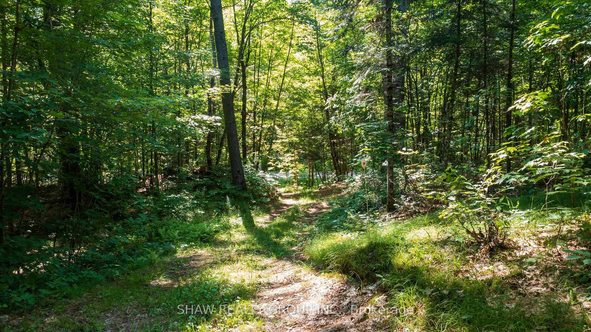 Photo 43 of 3726 Nipissing Road, Magnetawan — HOMEH