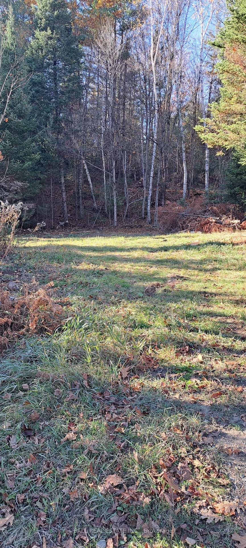 Photo 3 of 1992 Smith Road, Frontenac, Frontenac North — HOMEH