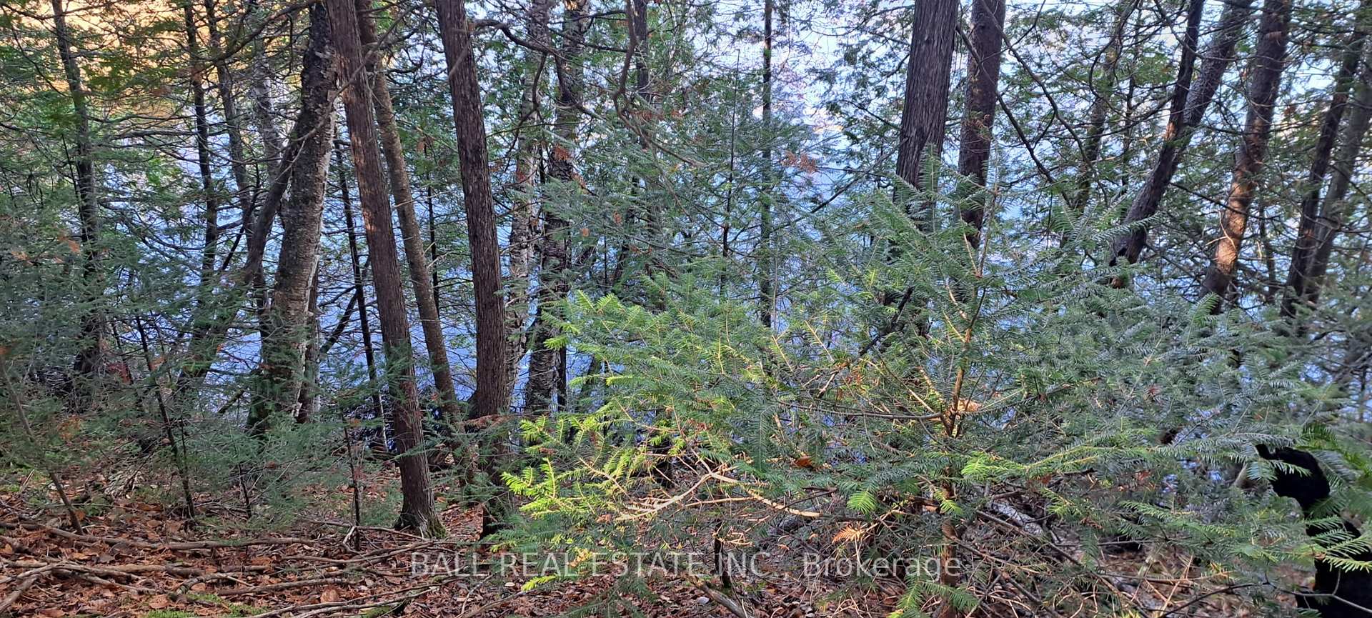 Photo 5 of 1992 Smith Road, Frontenac, Frontenac North — HOMEH