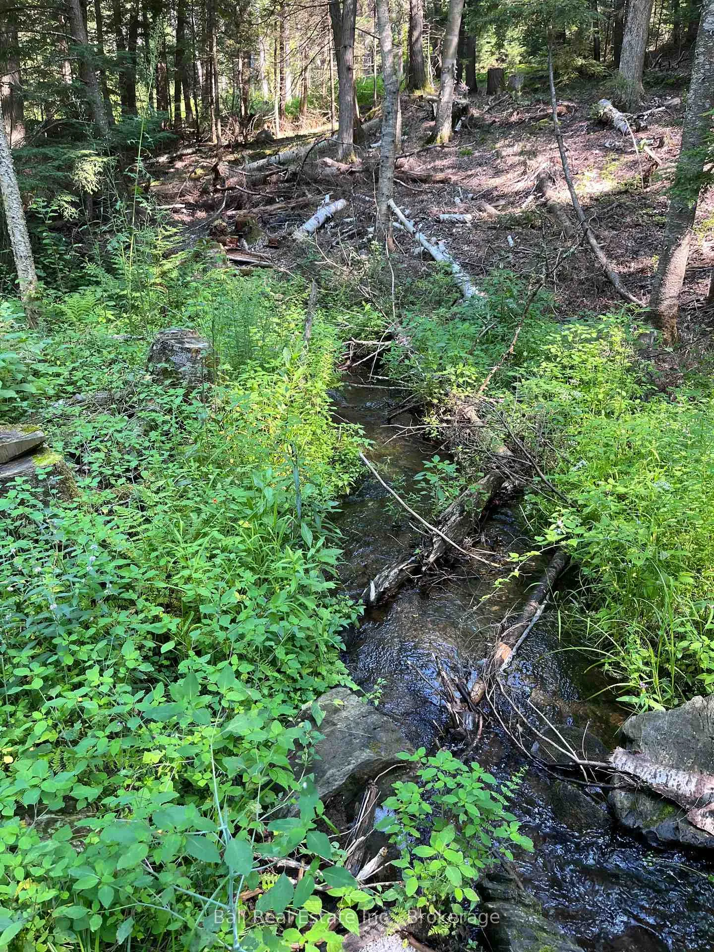 Photo 9 of 1992 Smith Road, Frontenac, Frontenac North — HOMEH