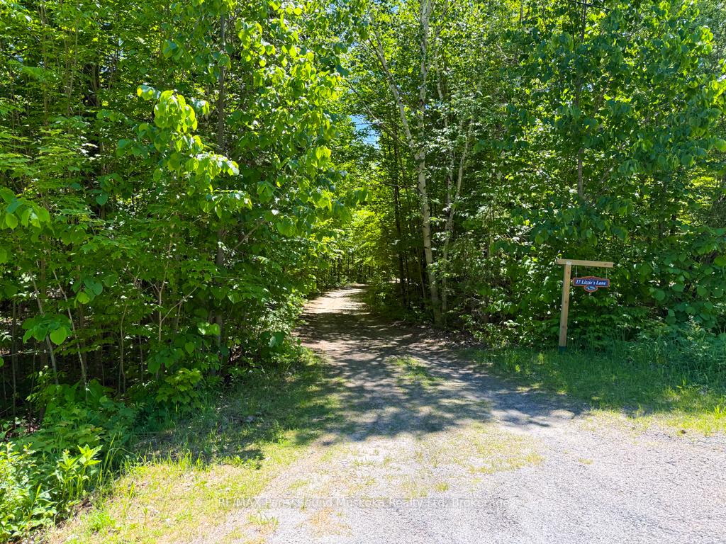 Photo 35 of 17 Lizzie's Lane, McKellar — HOMEH