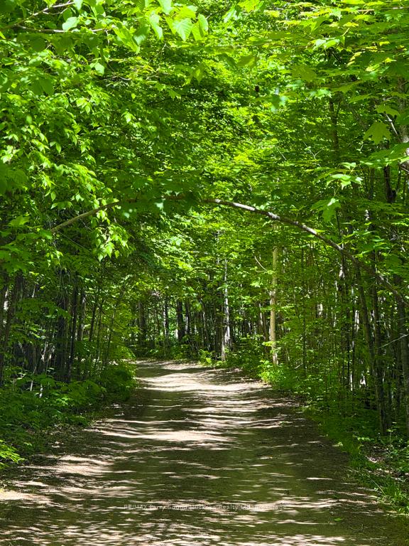 Photo 36 of 17 Lizzie's Lane, McKellar — HOMEH