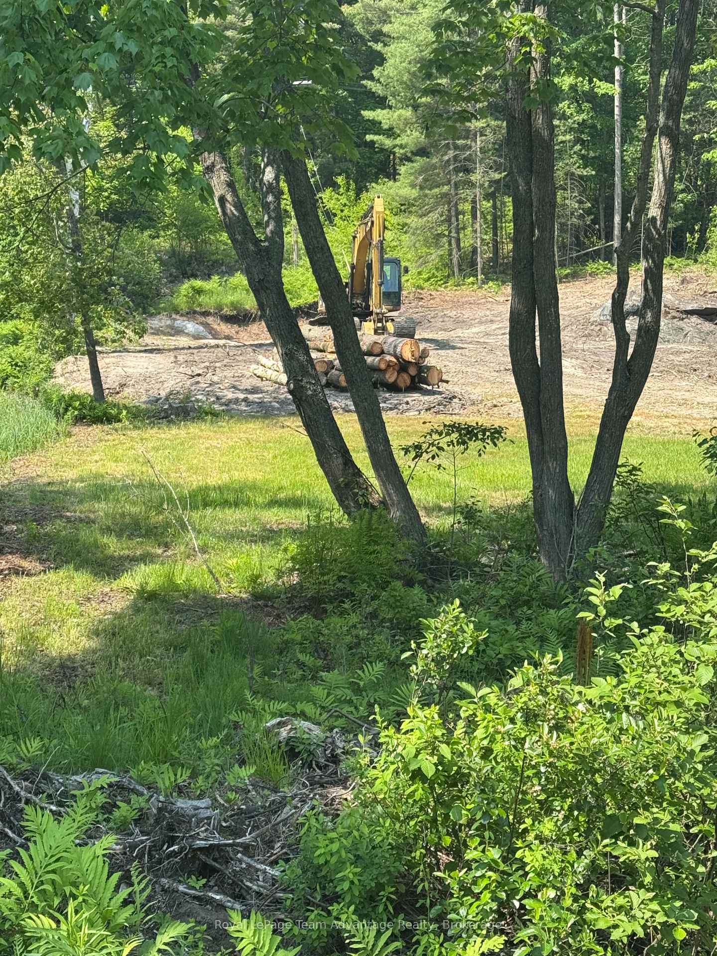 Photo 5 of 98 Louisa Street, Parry Sound — HOMEH