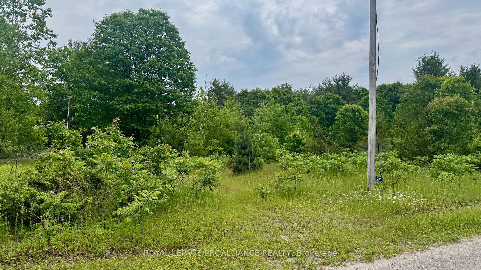 Photo 14 of 207 Middle Ridge Road, Brighton — HOMEH