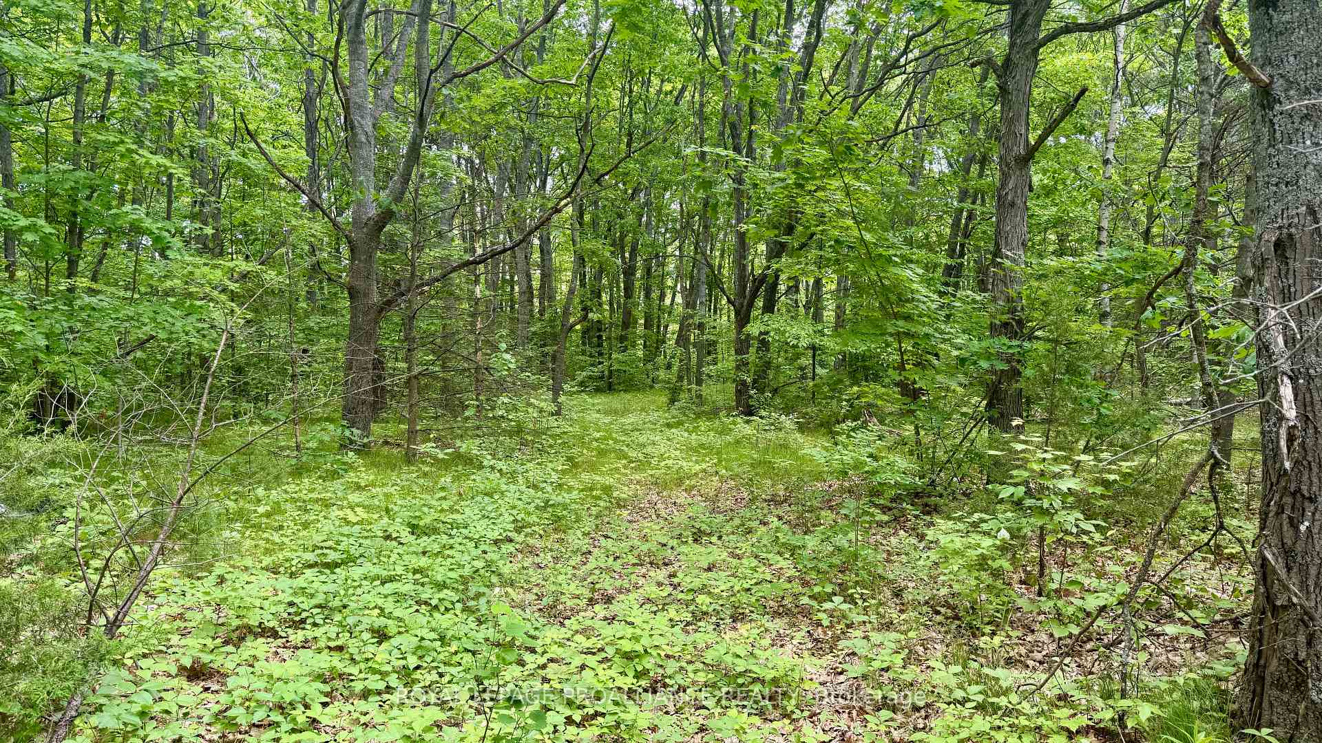 Photo of 207 Middle Ridge Road
