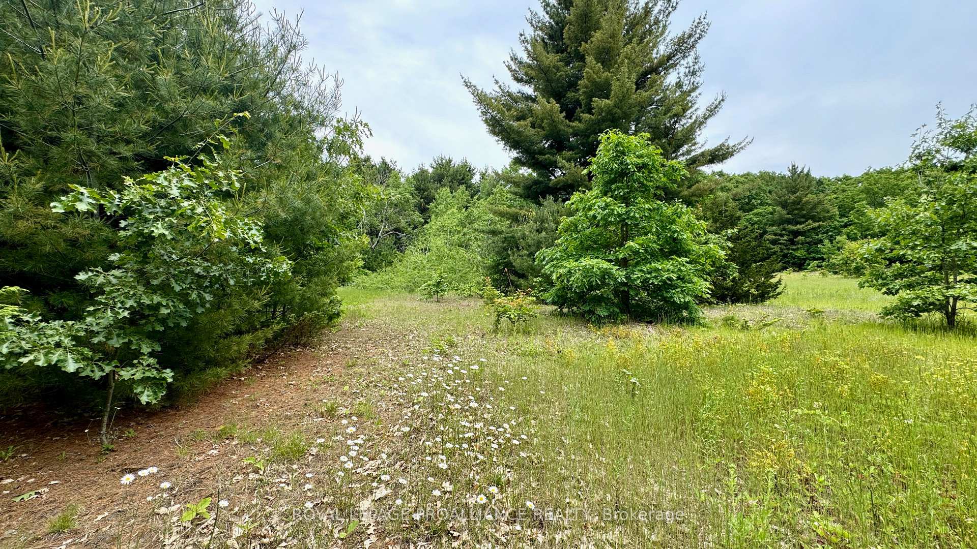 Photo 5 of 207 Middle Ridge Road, Brighton — HOMEH