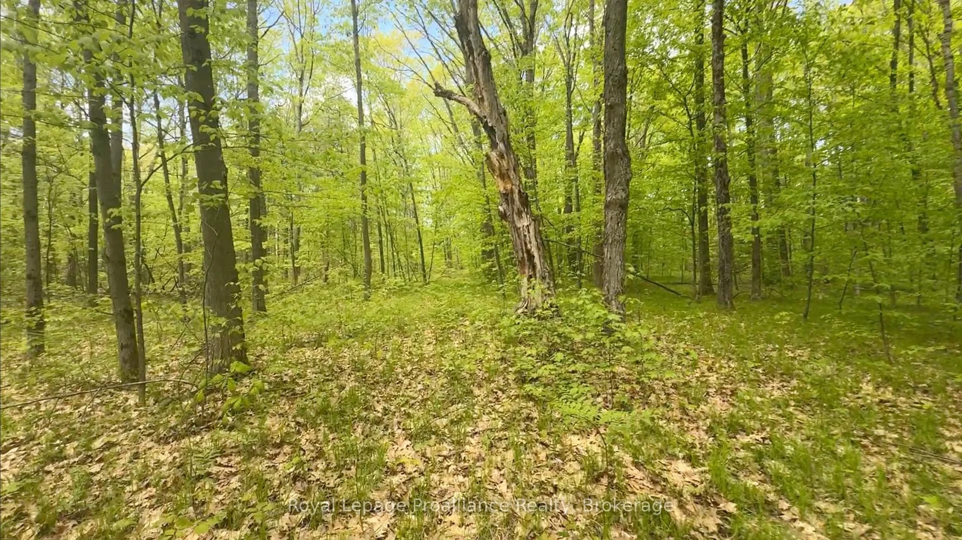 Photo 4 of 207 Middle Ridge Road, Brighton — HOMEH