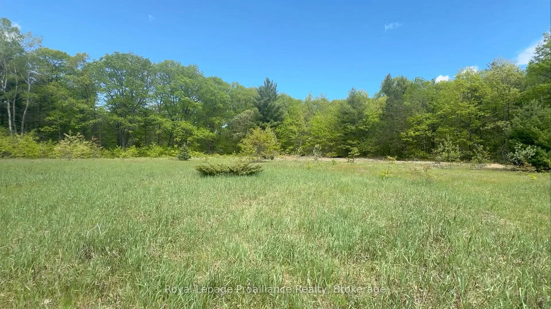 Photo 7 of 207 Middle Ridge Road, Brighton — HOMEH