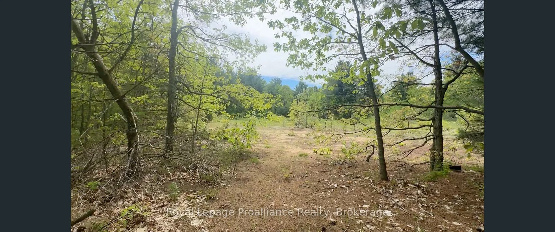 Photo 8 of 207 Middle Ridge Road, Brighton — HOMEH