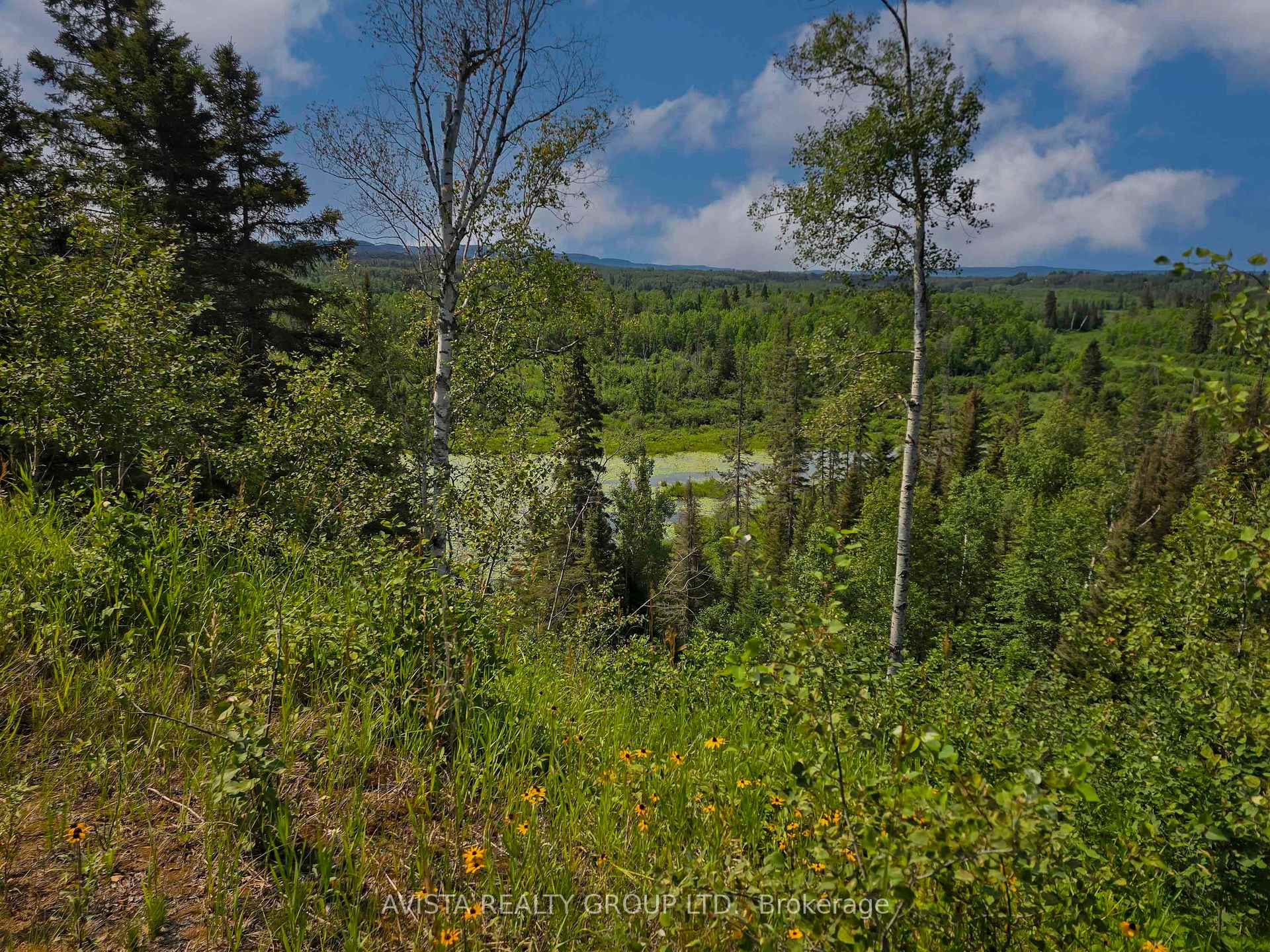 Photo 48 of 2422 Broadway Ave, Thunder Bay, Rosslyn Road — HOMEH
