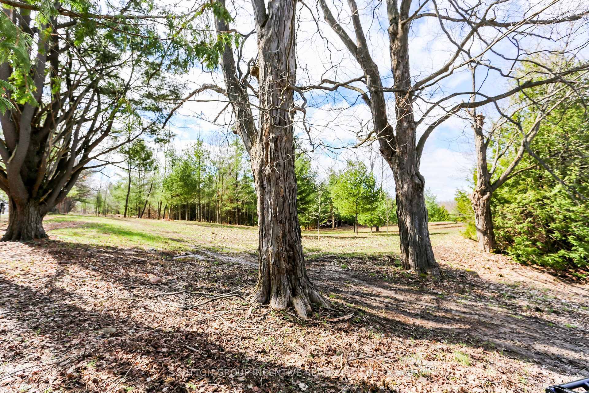 Photo 5 of Unit Part 4, 2790 Old Second Road S, Springwater, Midhurst — HOMEH