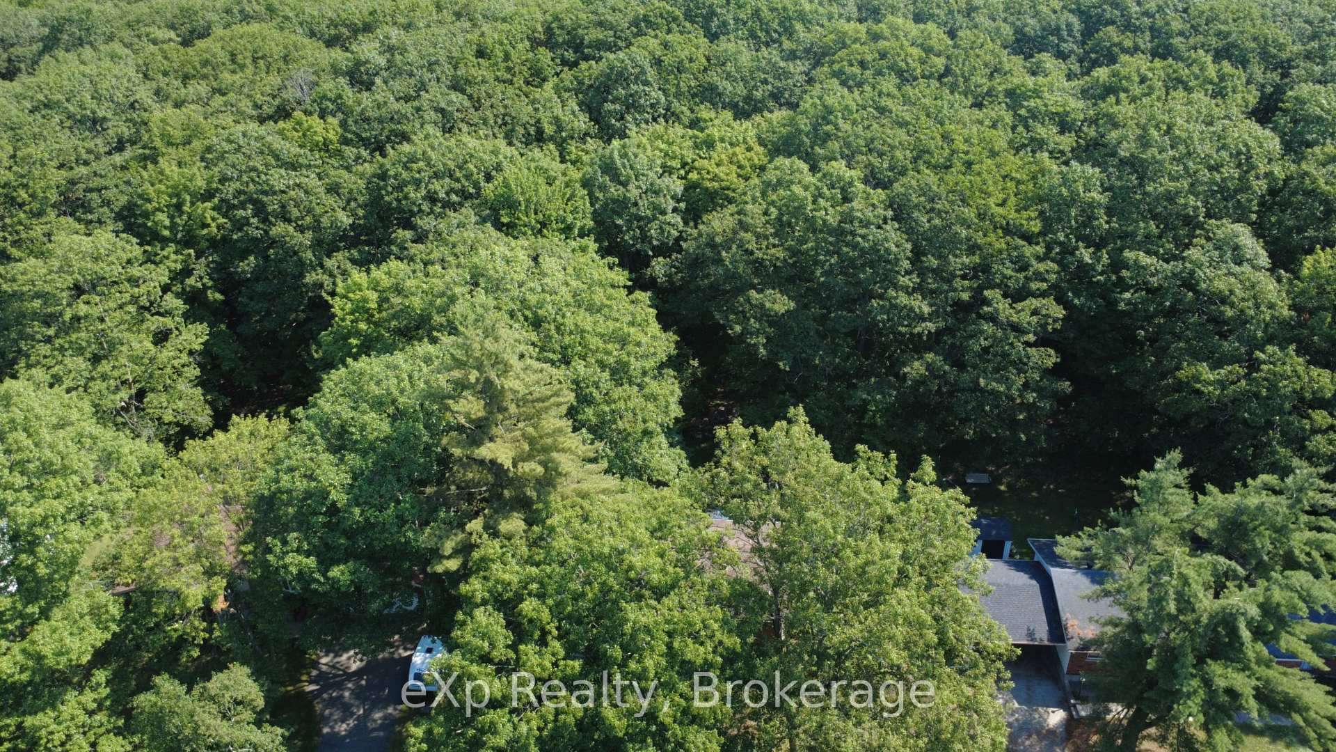 Photo 36 of 55 Wilshier Boulevard, Bracebridge, Macaulay — HOMEH
