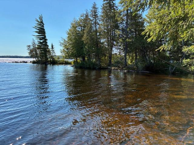 Photo 3 of 5993 HIGHWAY #124 Highway, Magnetawan, Ahmic Harbour — HOMEH