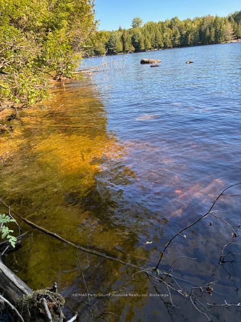 Photo 5 of 5993 HIGHWAY #124 Highway, Magnetawan, Ahmic Harbour — HOMEH