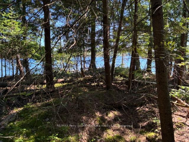 Photo 6 of 5993 HIGHWAY #124 Highway, Magnetawan, Ahmic Harbour — HOMEH