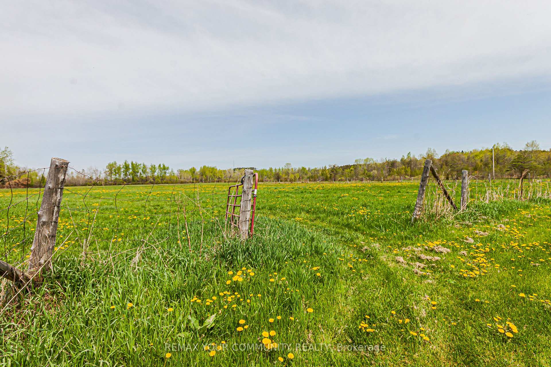Photo 23 of 24730 Valley View Drive, Georgina, Baldwin — HOMEH