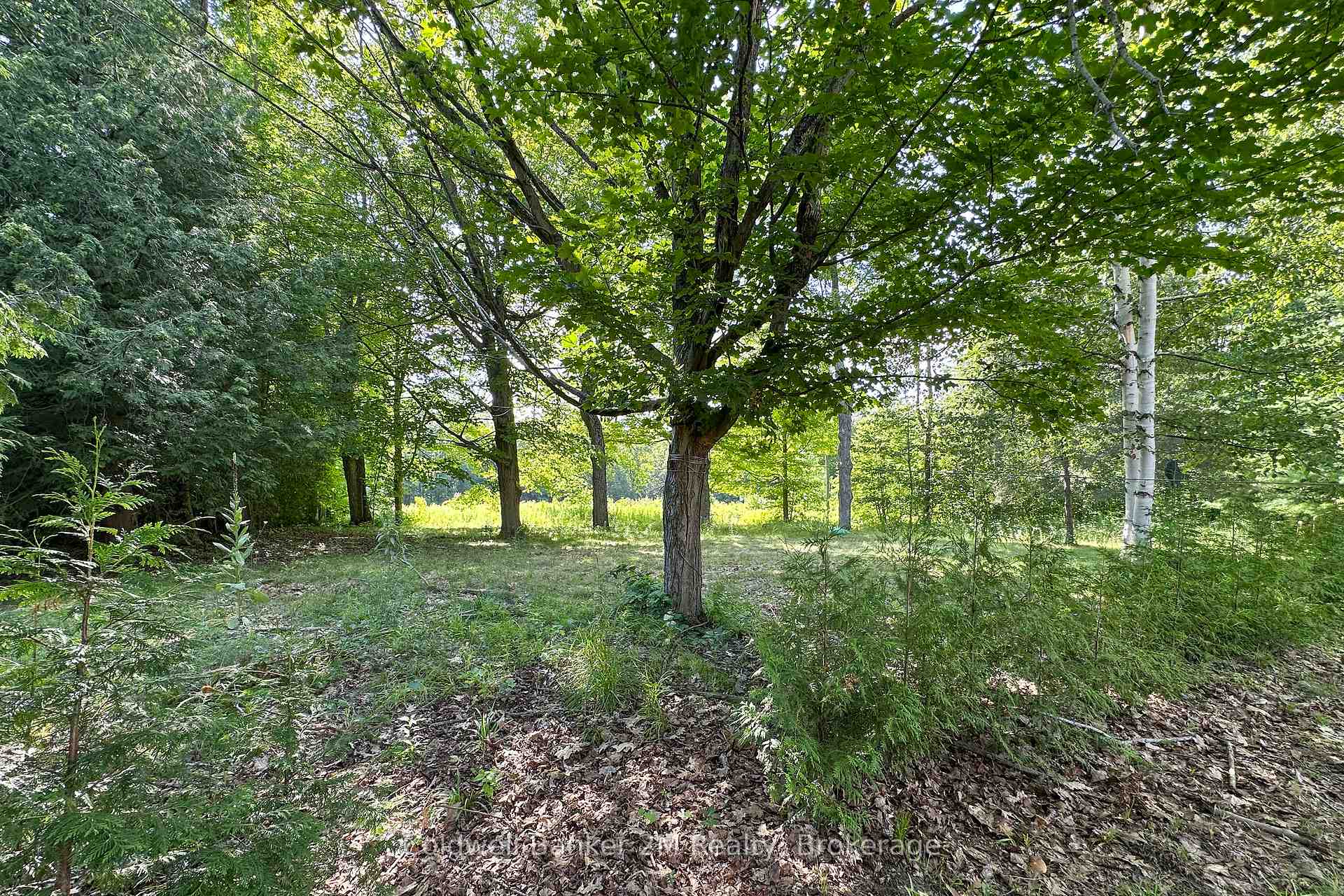 Photo 37 of 3324 Tooley Road, Clarington, Courtice — HOMEH