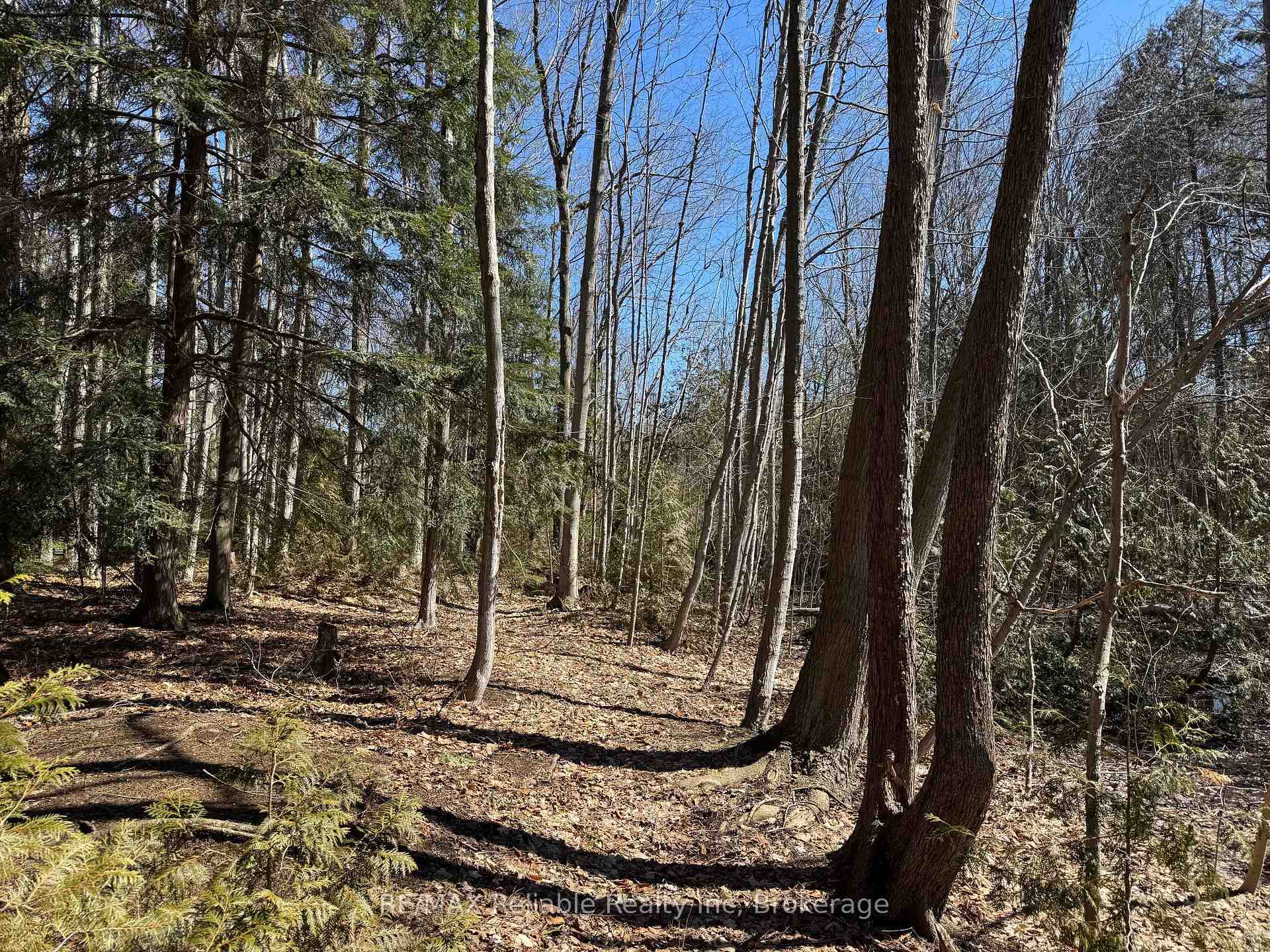 Photo 6 of 28 George Street, Bluewater, Bayfield — HOMEH