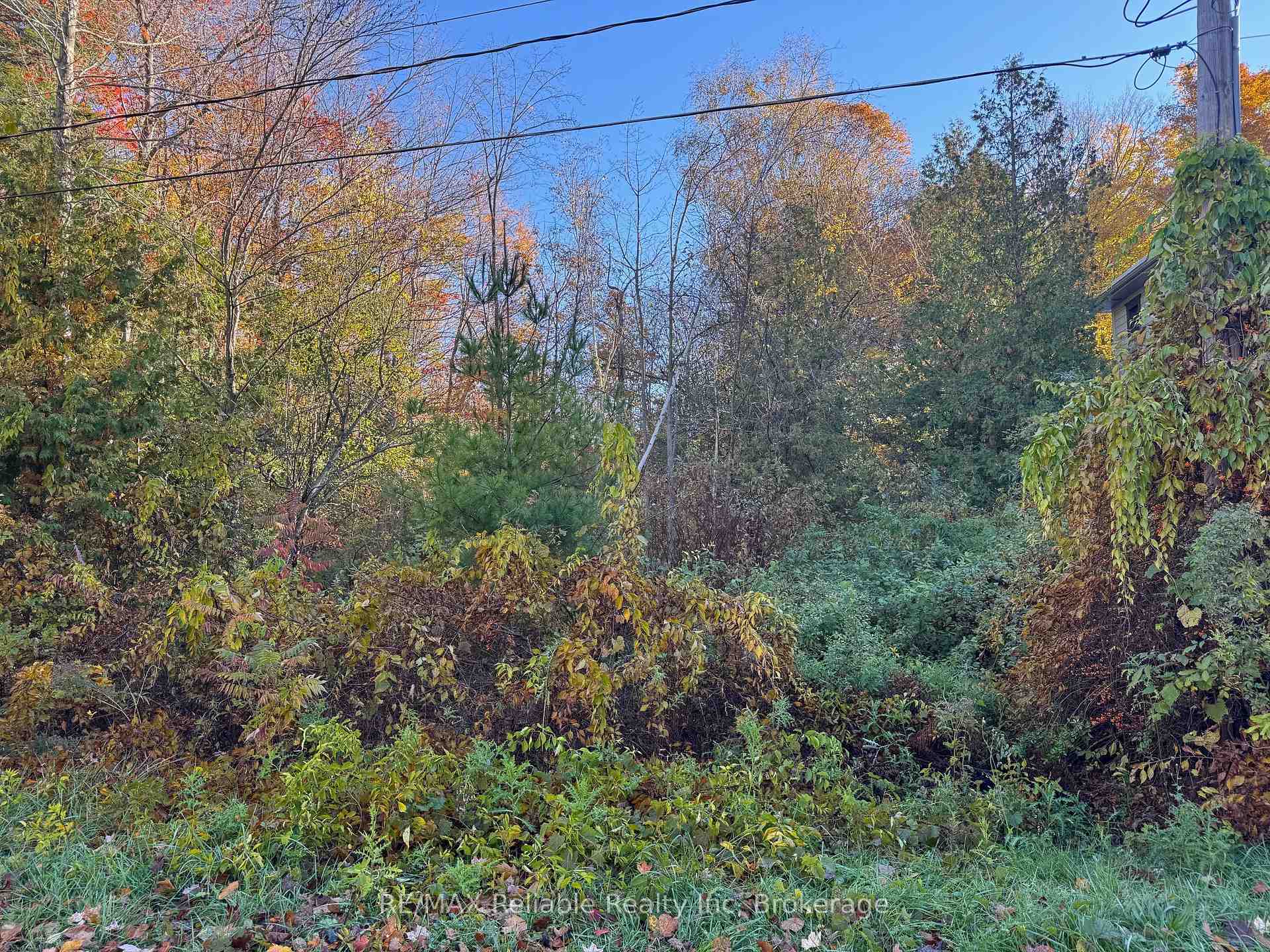 Photo 7 of 28 George Street, Bluewater, Bayfield — HOMEH