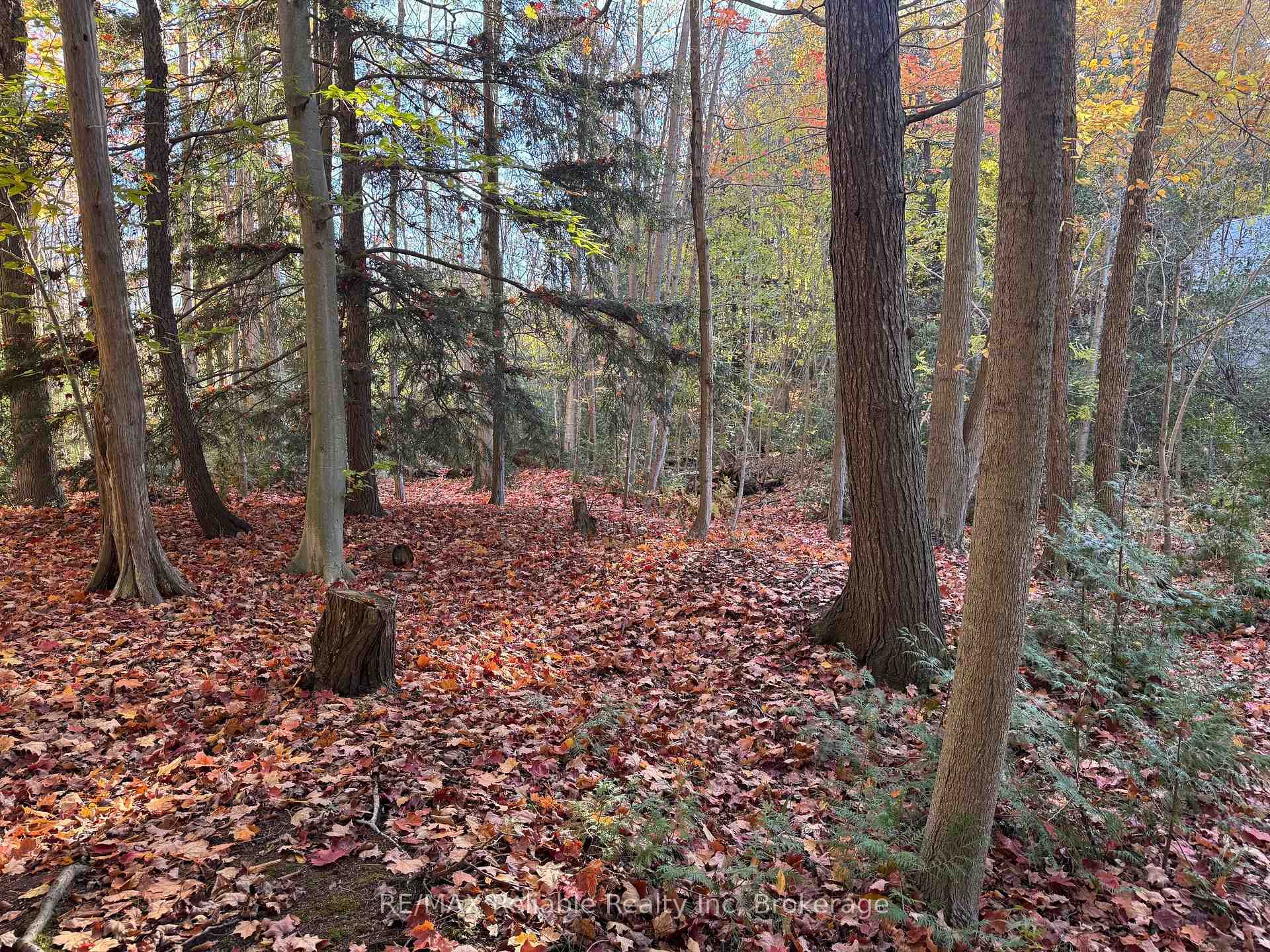 Photo 5 of 28 George Street, Bluewater, Bayfield — HOMEH