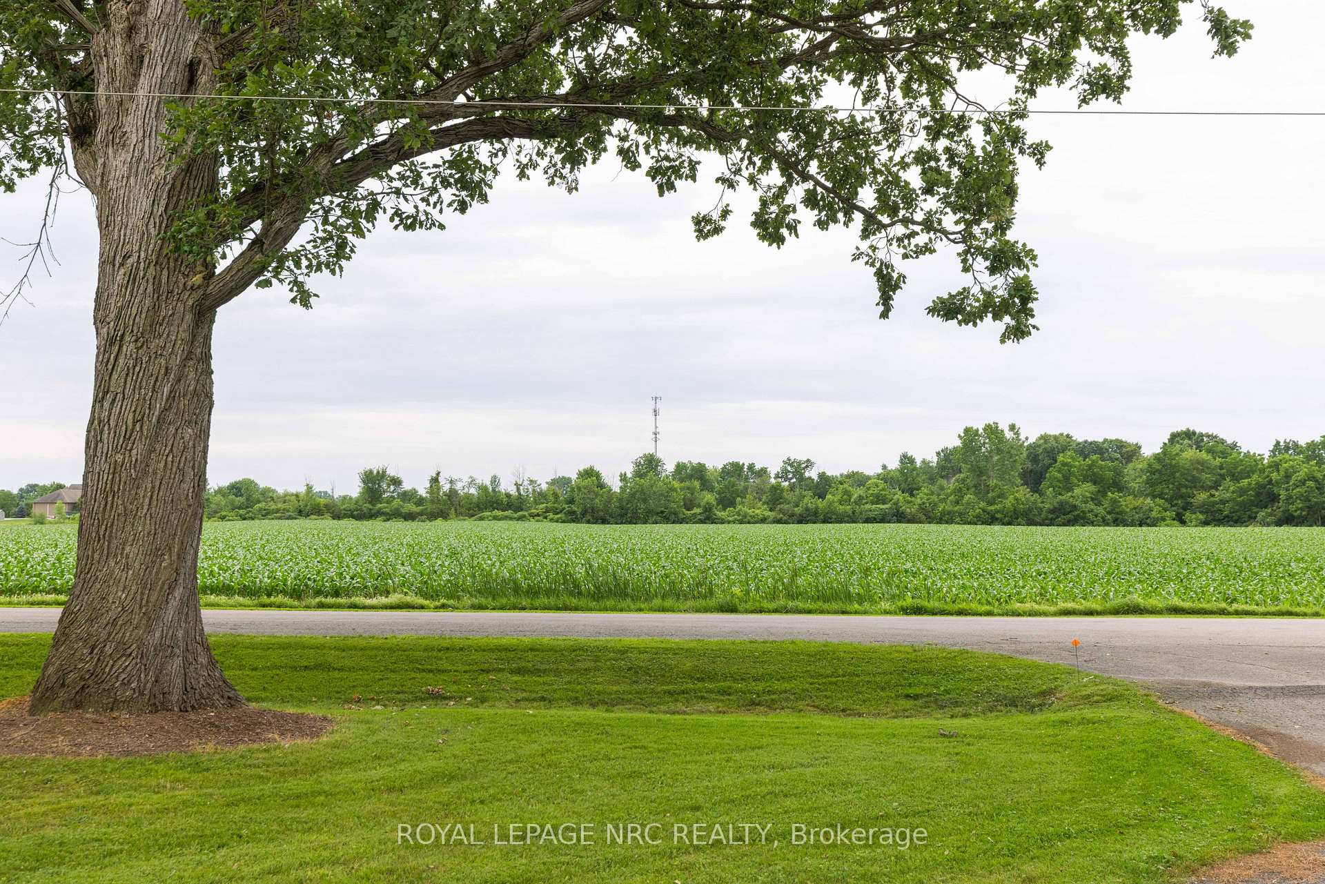 Photo 37 of 54038 Willford Road, Wainfleet, Marshville/Winger — HOMEH
