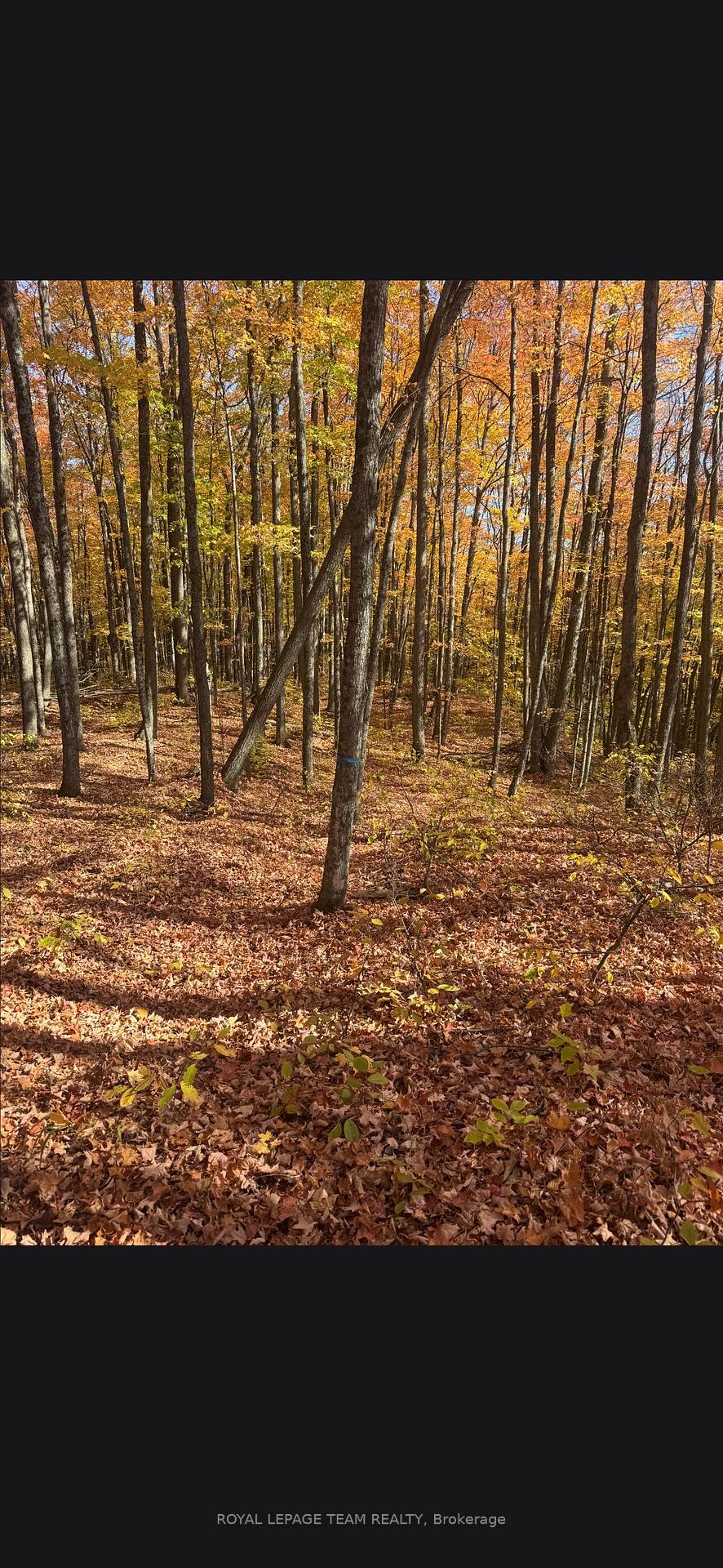 Photo 3 of 509 Road, North Frontenac, Frontenac North — HOMEH