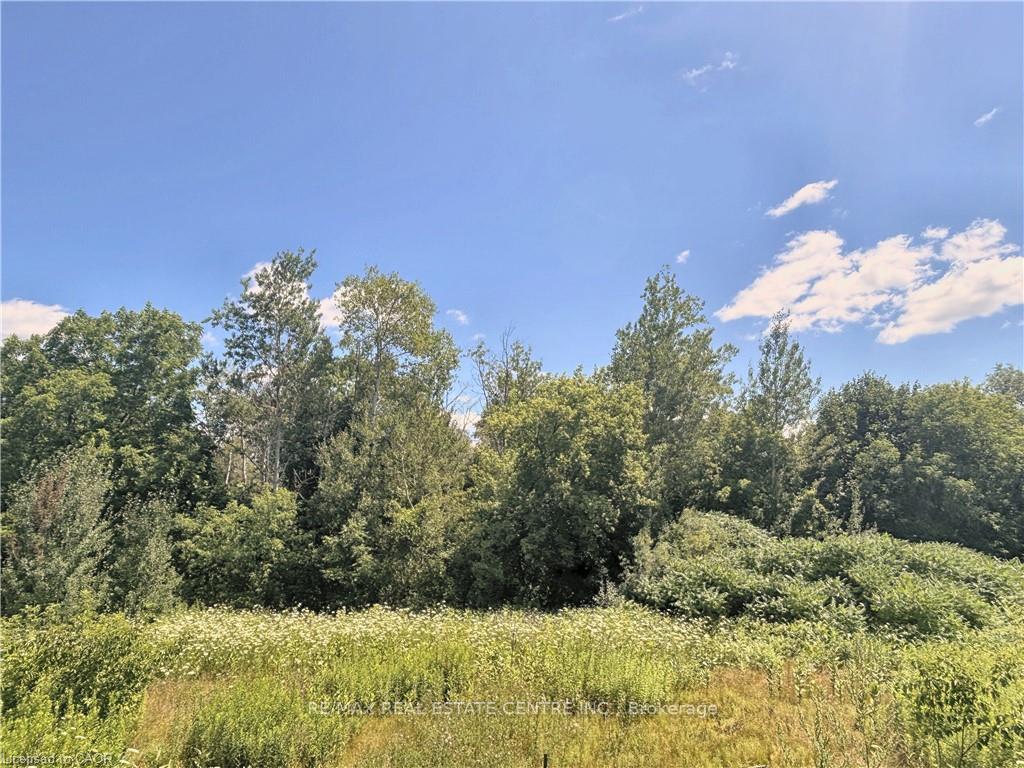 Photo 34 of 24 Mears Road, Brant, Paris — HOMEH