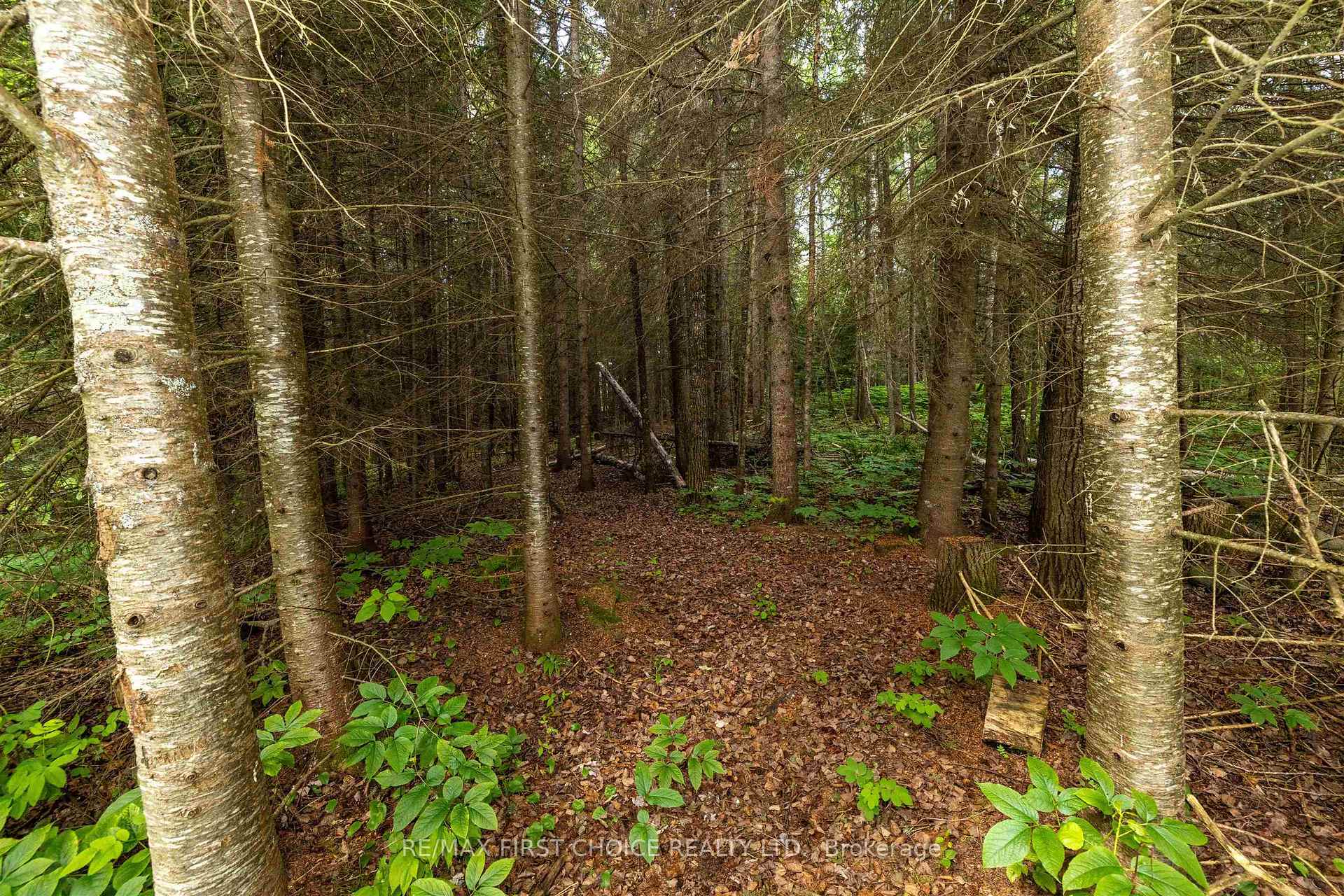 Photo 49 of 200 Captain Road, Thunder Bay Remote Area — HOMEH